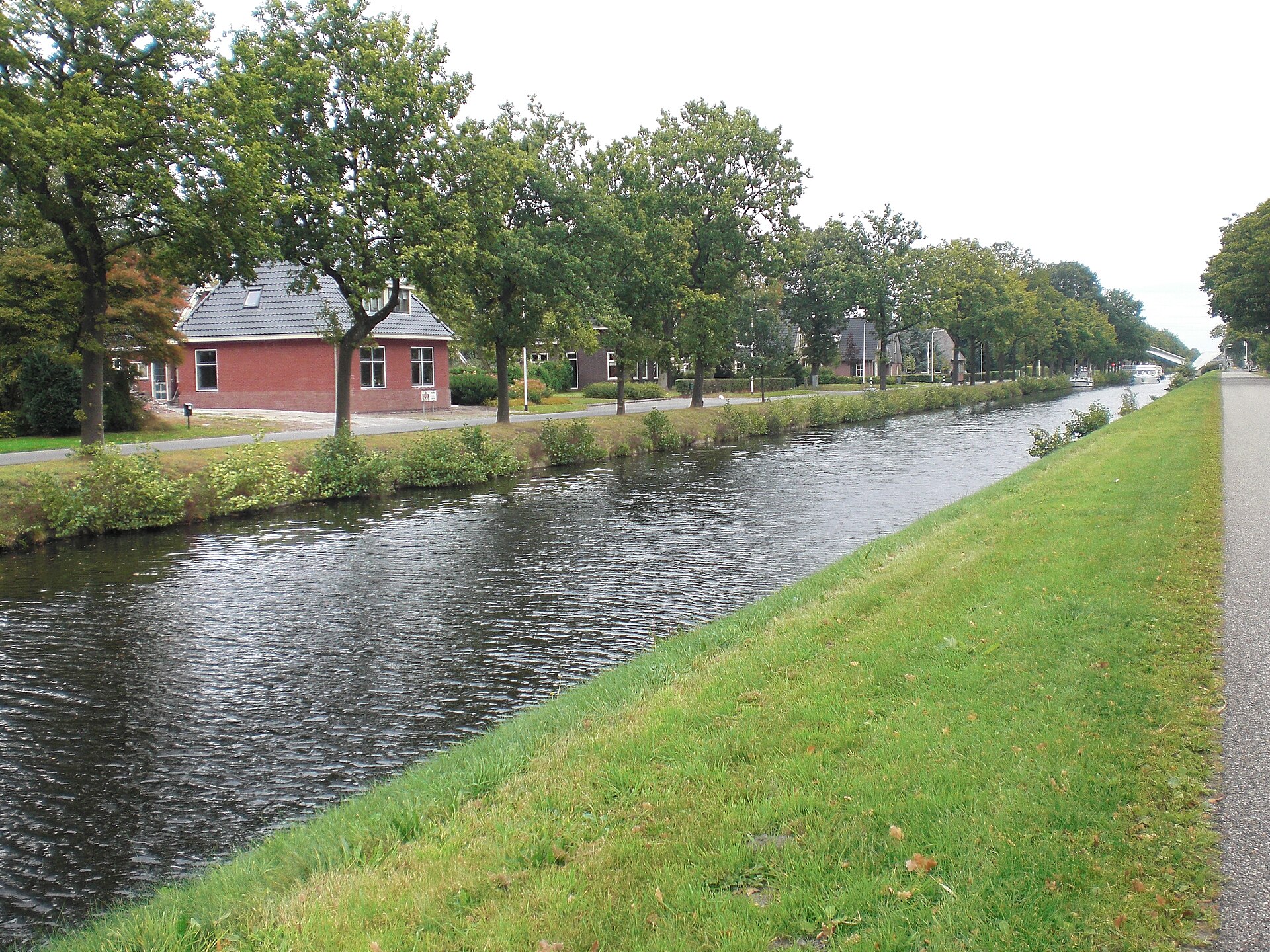 Website laten maken Assen – lokale webdesign master Lokaal beeld van Assen bij website laten maken en webdesign Assen