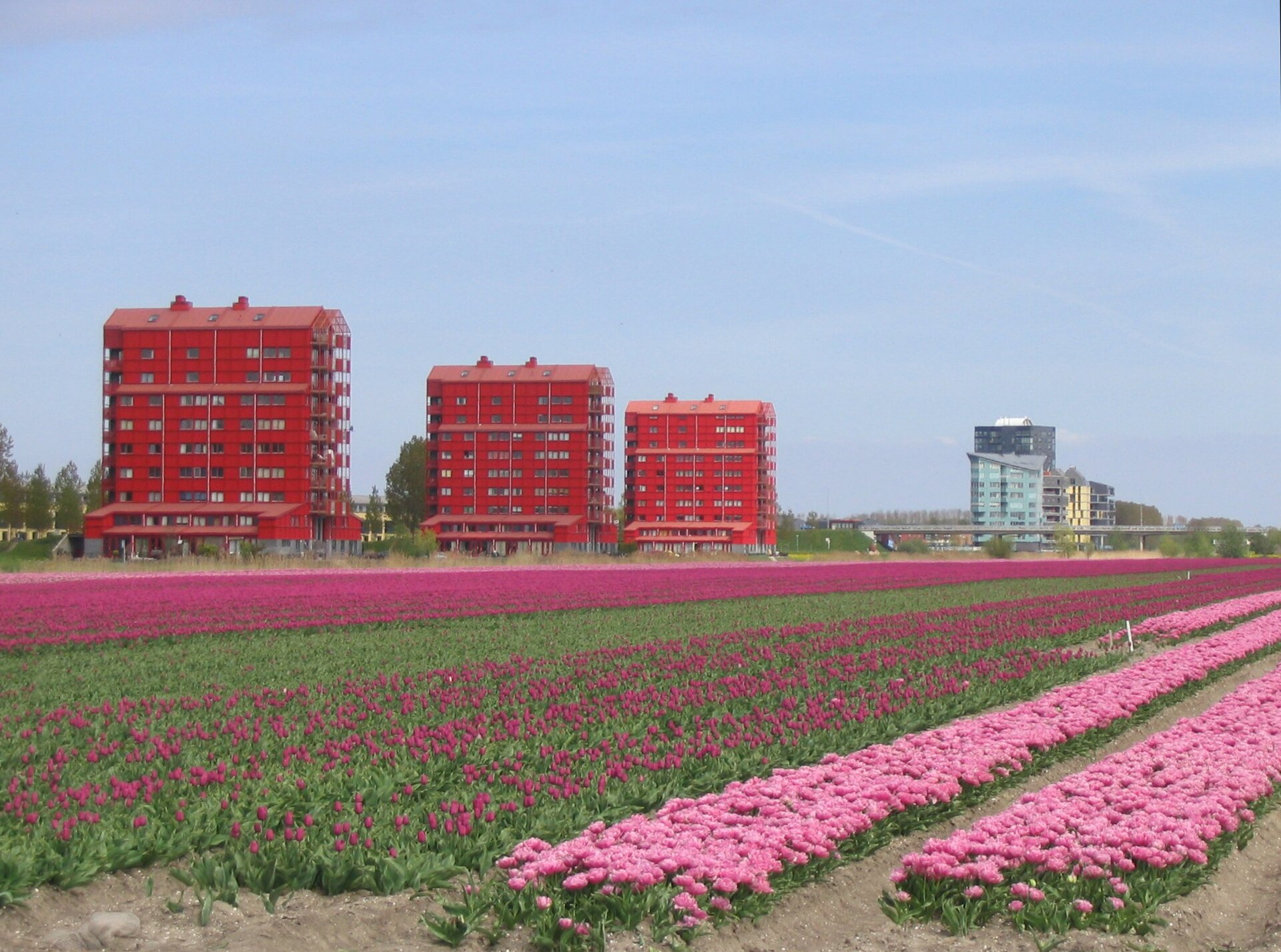 Lokale omgeving van Almere als lokaal beeld bij website laten maken Almere