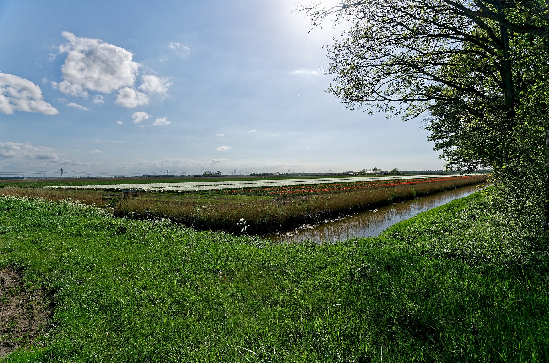 Ondernemen in Dronten als lokaal beeld bij Top 5 webdesigners Dronten