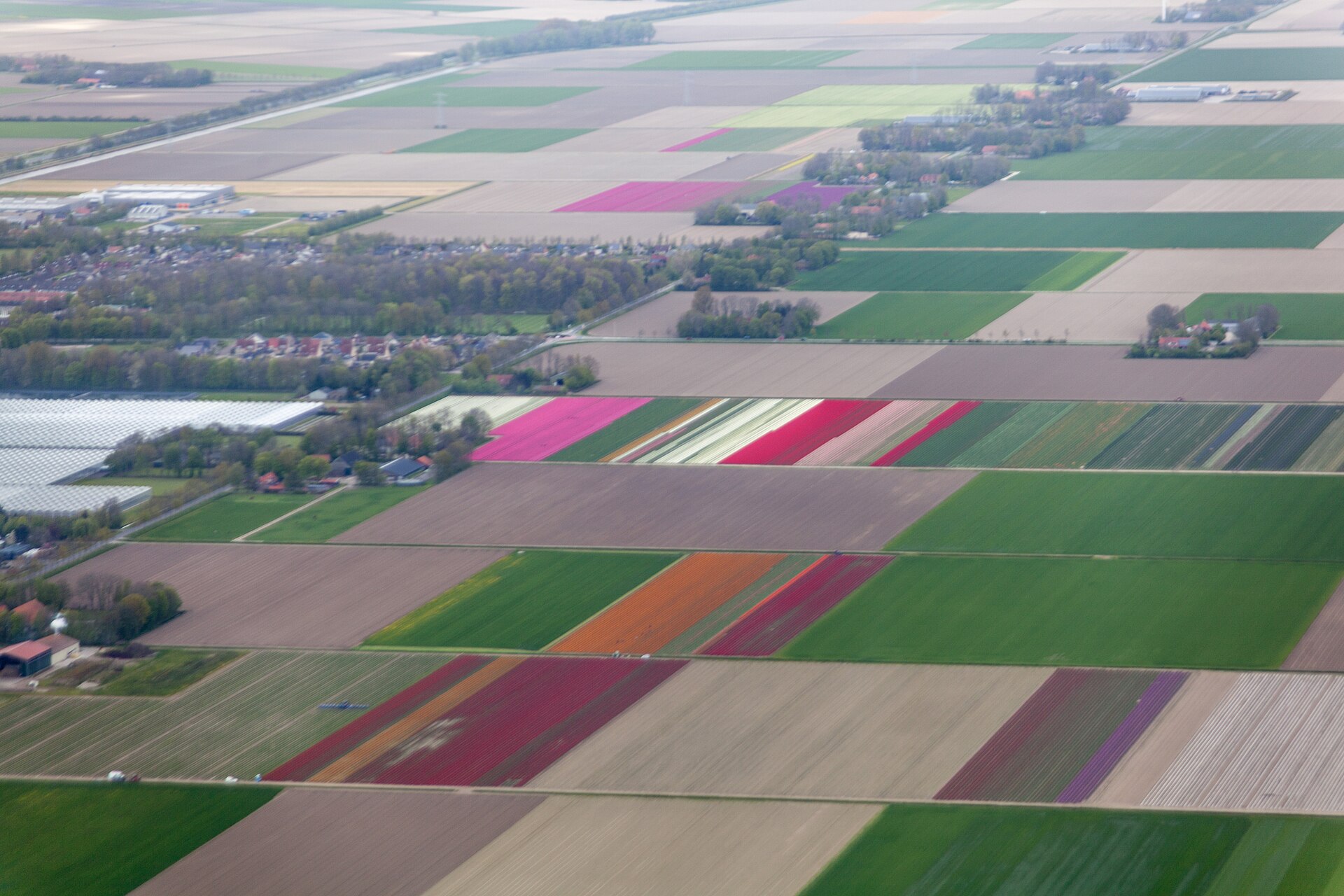 Lokaal beeld van Ens bij website laten maken en webdesign Ens