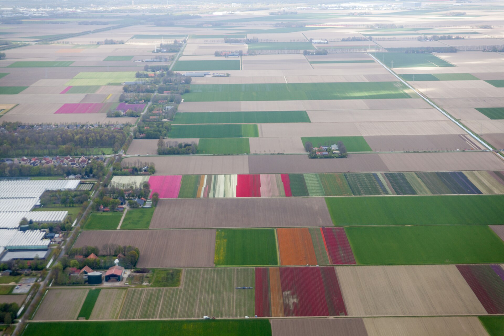 Lokale omgeving van Ens als lokaal beeld bij website laten maken Ens