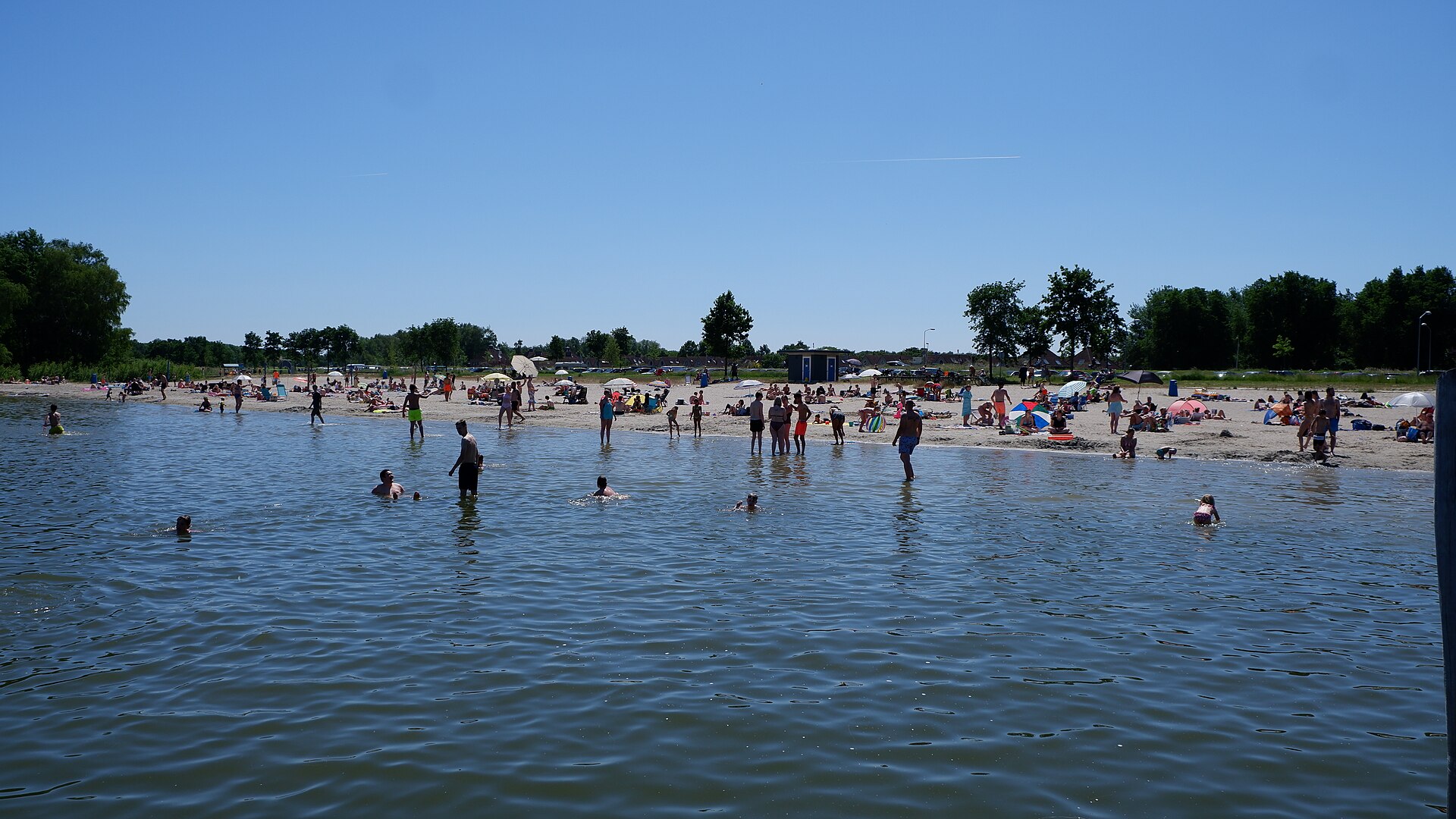 Website laten maken Zeewolde – lokale webdesign master Lokaal beeld van Zeewolde bij website laten maken en webdesign Zeewolde
