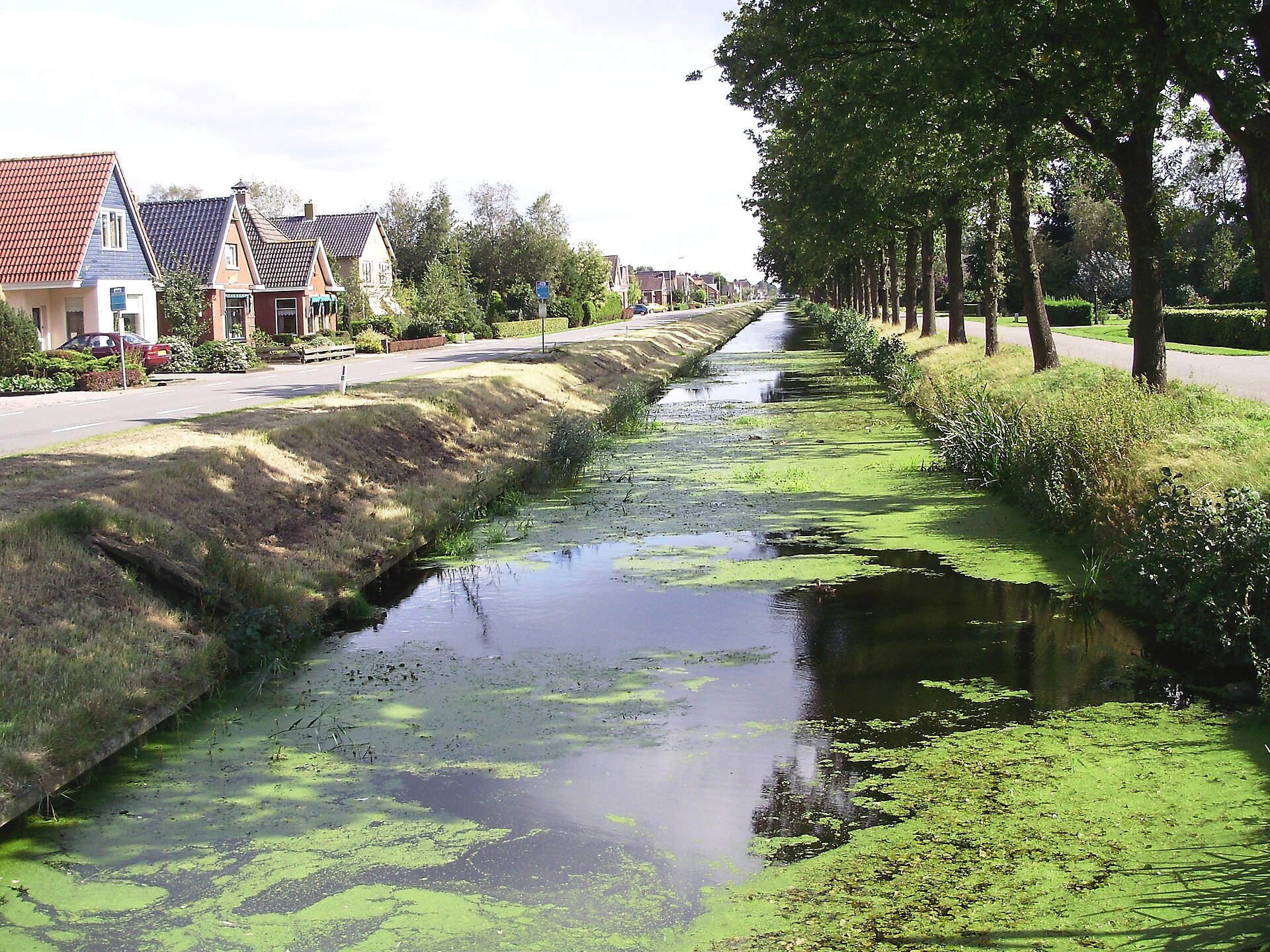 Website laten maken Haulerwijk – lokale omgeving Lokale omgeving van Haulerwijk als lokaal beeld bij website laten maken Haulerwijk