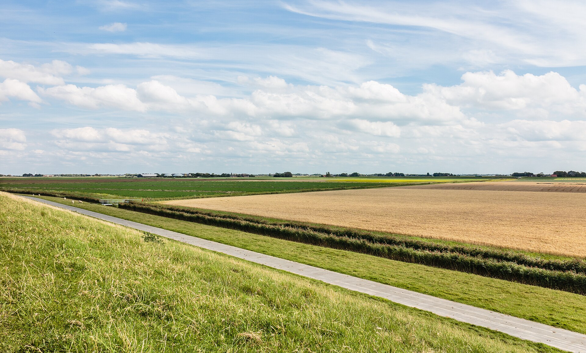 Website laten maken Holwerd – lokale webdesign master Lokaal beeld van Holwerd bij website laten maken en webdesign Holwerd