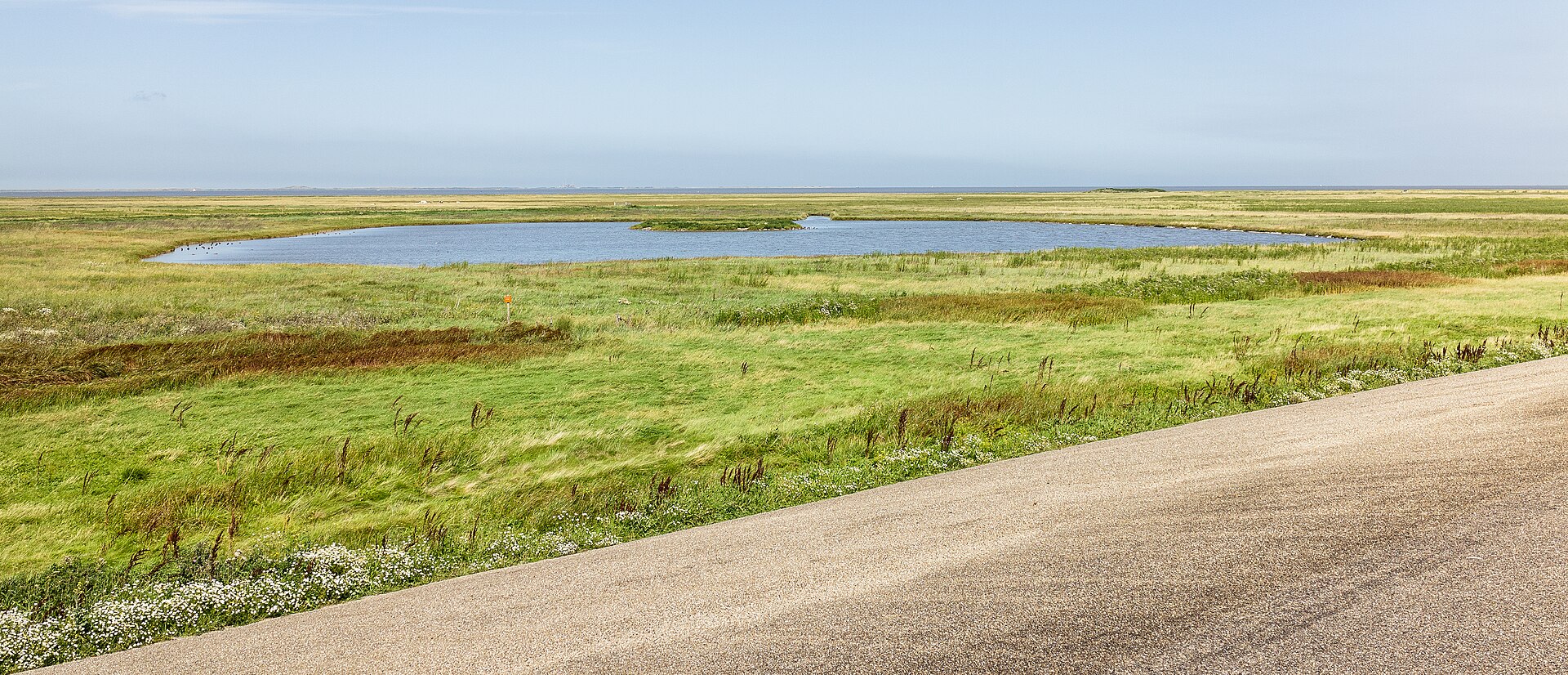 Website laten maken Holwerd – lokale omgeving Lokale omgeving van Holwerd als lokaal beeld bij website laten maken Holwerd