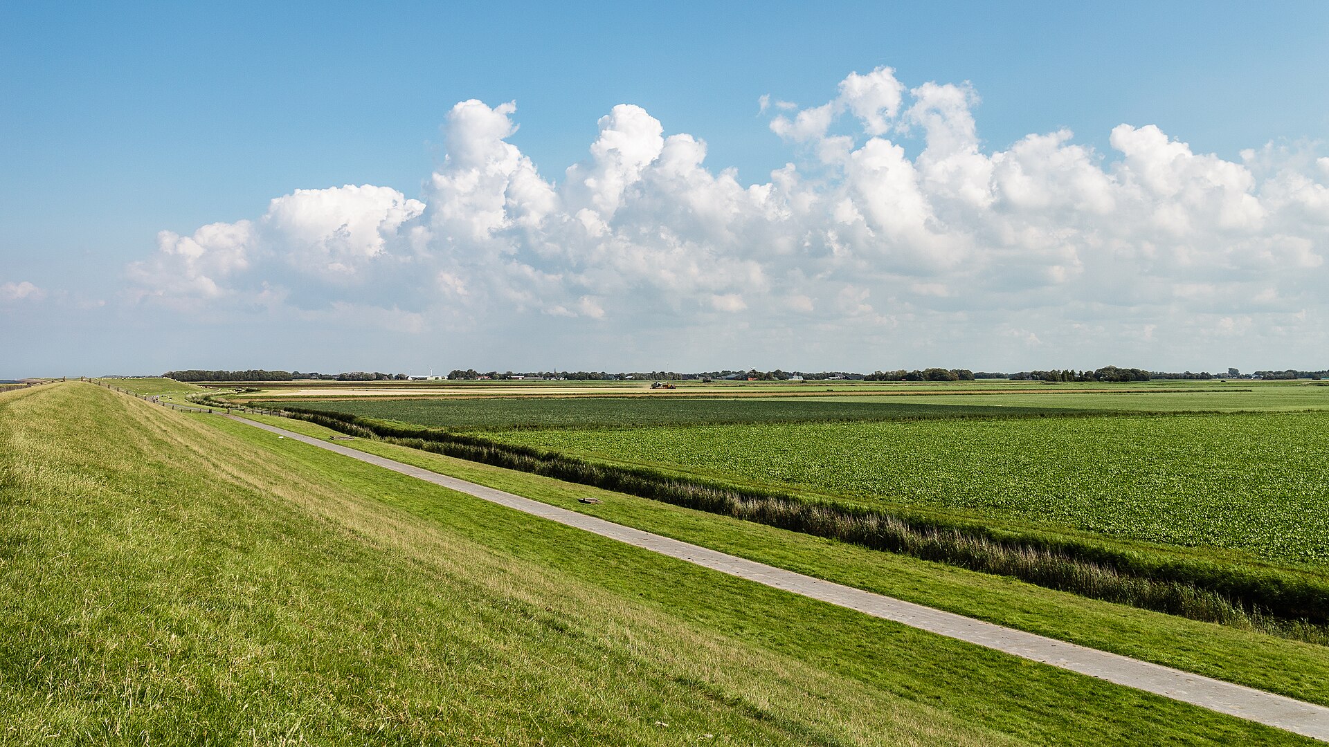Top 5 webdesigners Holwerd – ondernemen in de regio Ondernemen in Holwerd als lokaal beeld bij Top 5 webdesigners Holwerd