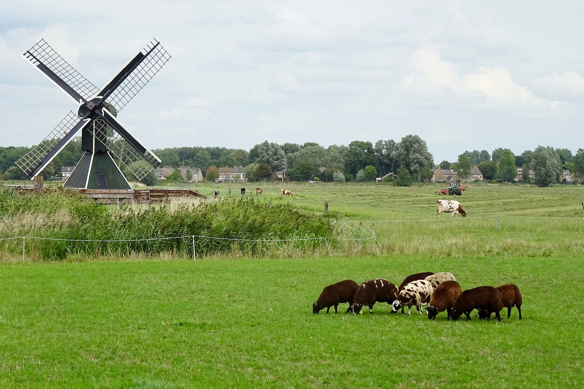 Lokale omgeving van IJlst als lokaal beeld bij website laten maken IJlst