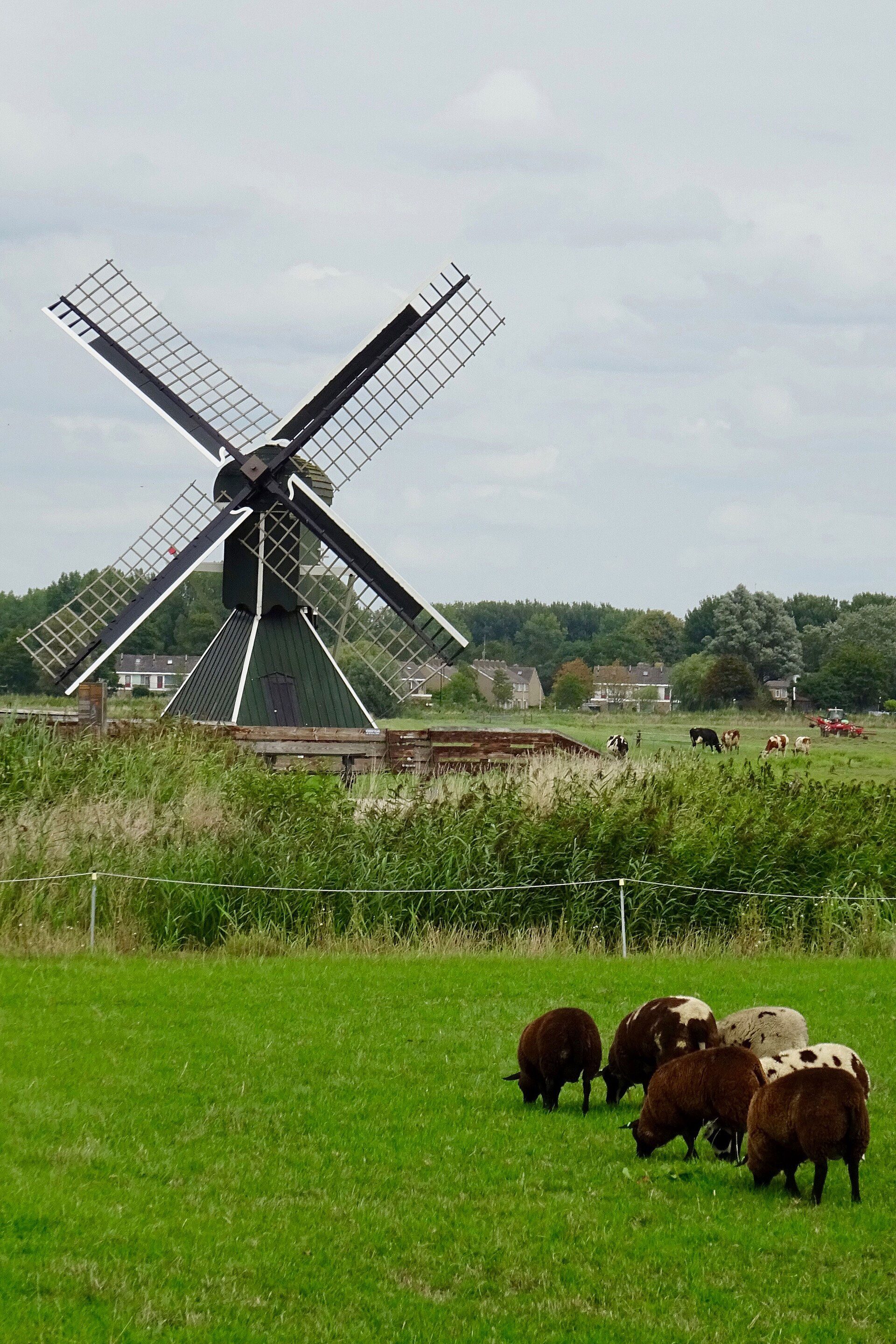 Ondernemen in IJlst als lokaal beeld bij Top 5 webdesigners IJlst