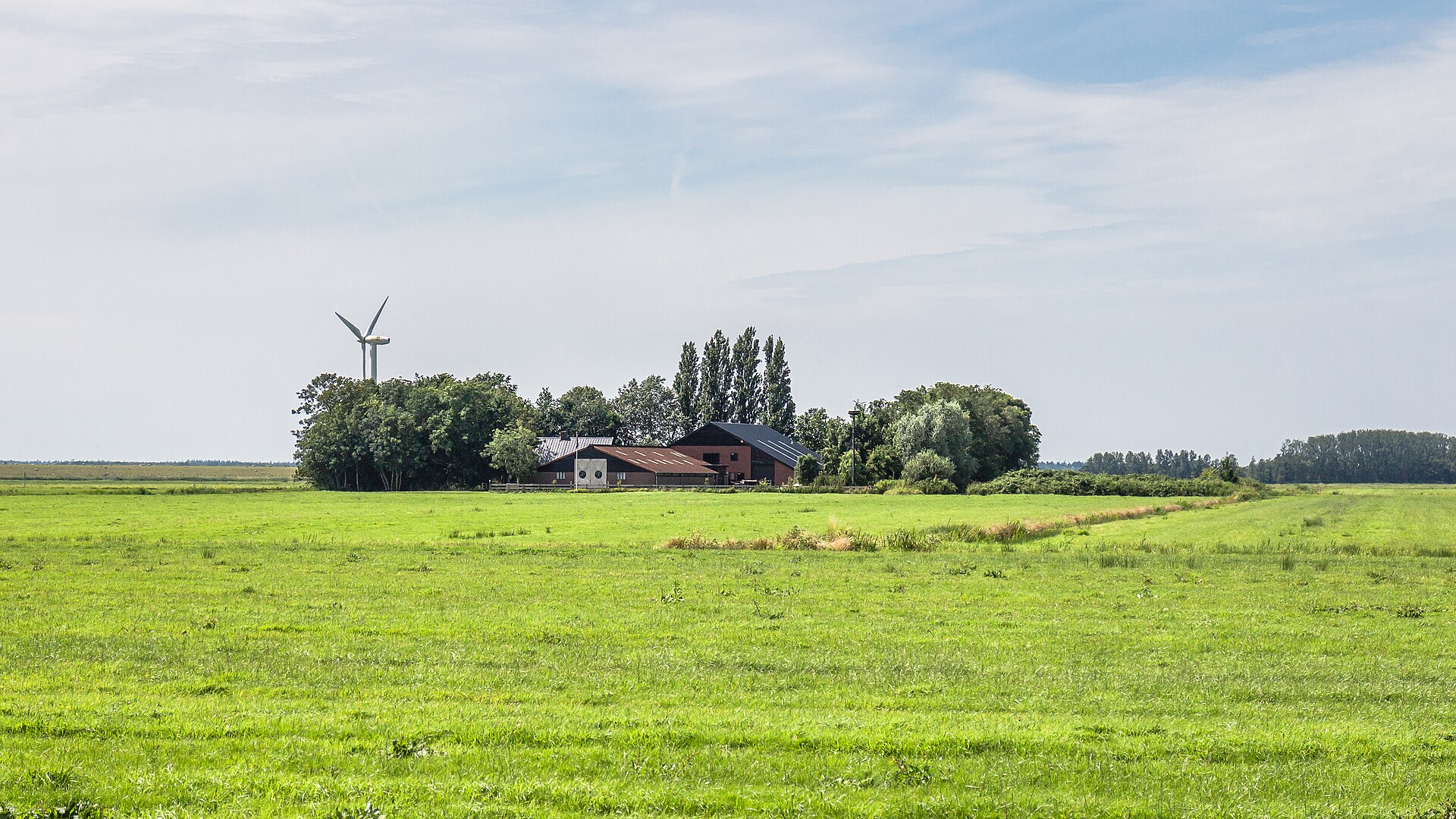 Website laten maken Lemmer – lokale omgeving Lokale omgeving van Lemmer als lokaal beeld bij website laten maken Lemmer