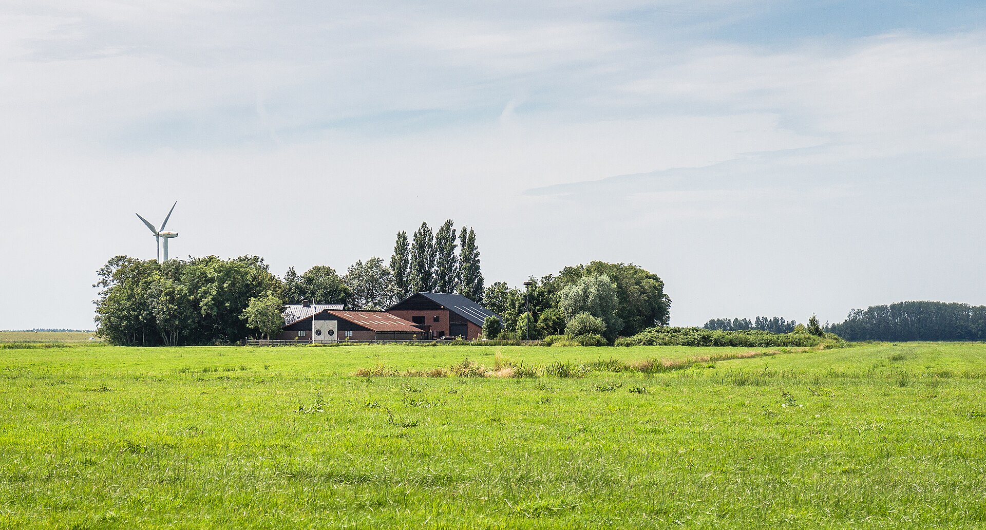 Top 5 webdesigners Lemmer – ondernemen in de regio Ondernemen in Lemmer als lokaal beeld bij Top 5 webdesigners Lemmer
