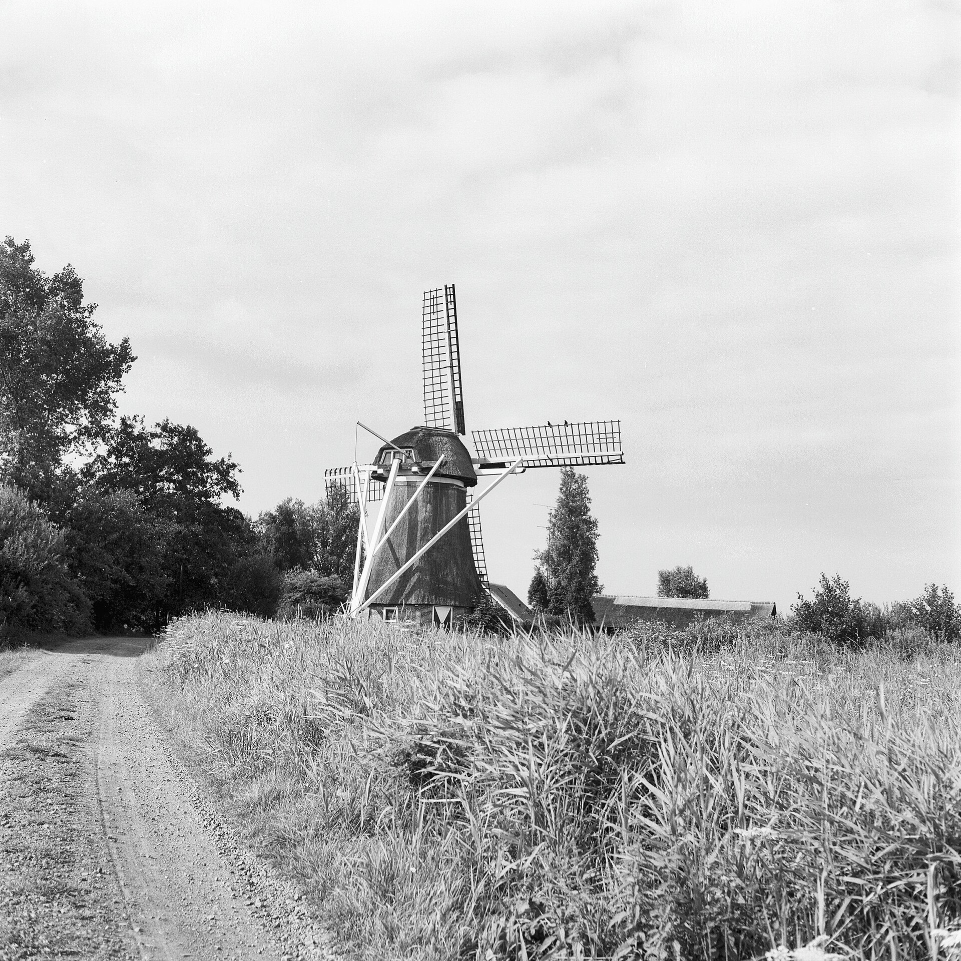 Lokale omgeving van Wolvega als lokaal beeld bij website laten maken Wolvega