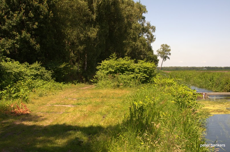 Lokaal beeld van Venray bij website laten maken en webdesign Venray