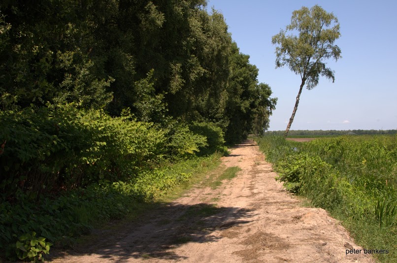Lokale omgeving van Venray als lokaal beeld bij website laten maken Venray