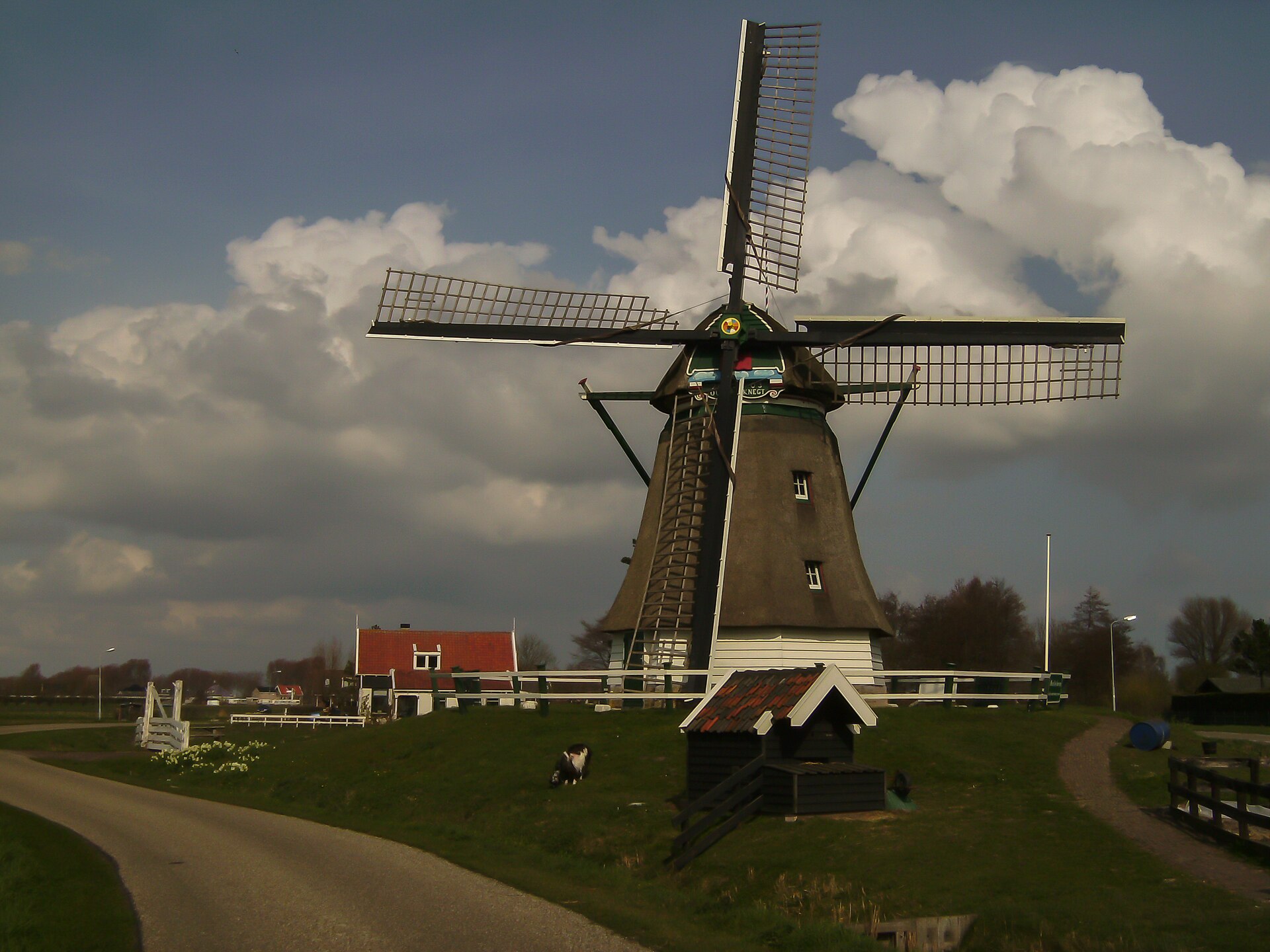 Website laten maken Akersloot – lokale omgeving Lokale omgeving van Akersloot als lokaal beeld bij website laten maken Akersloot