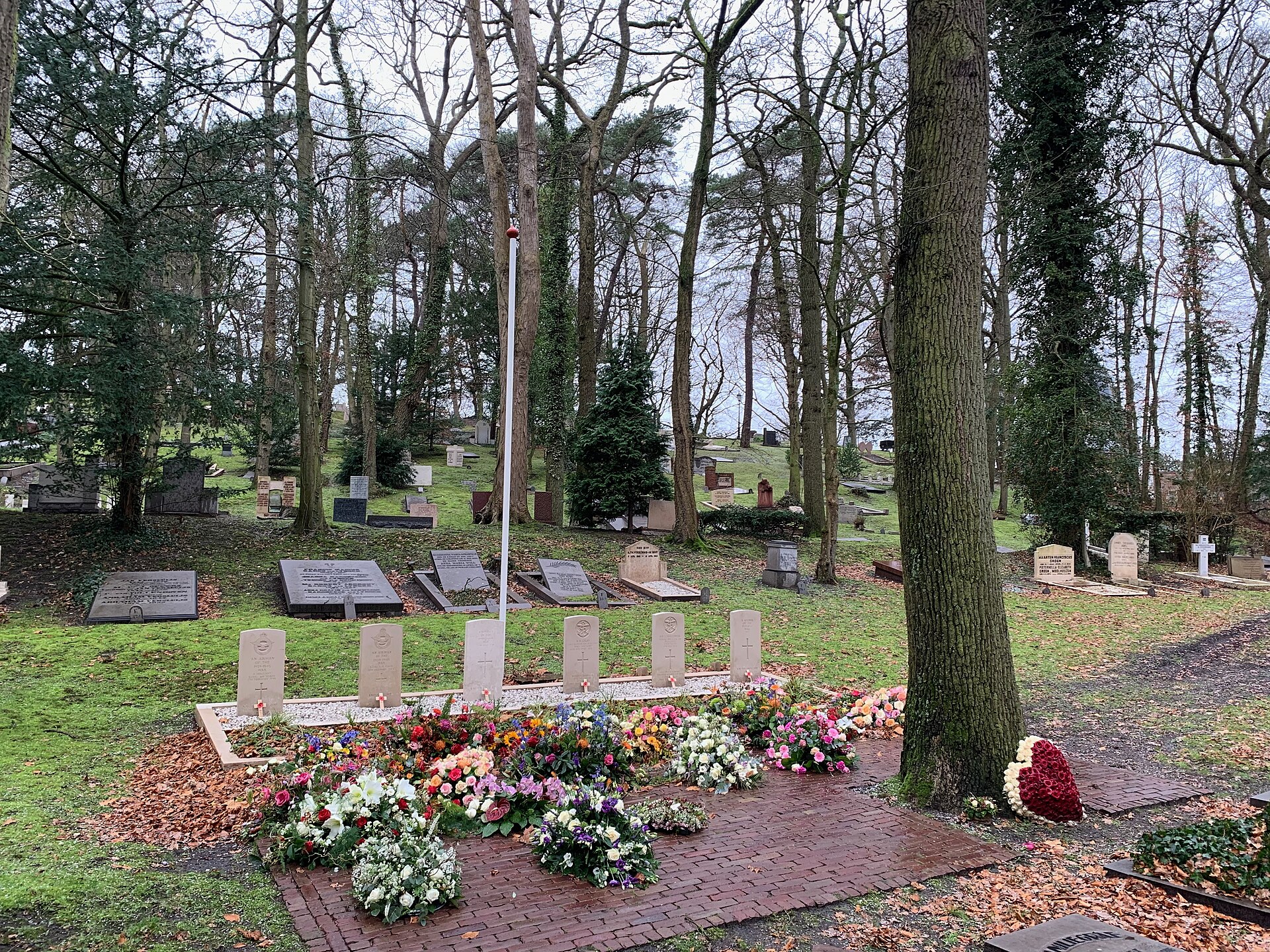 Lokale omgeving van Driehuis als lokaal beeld bij website laten maken Driehuis