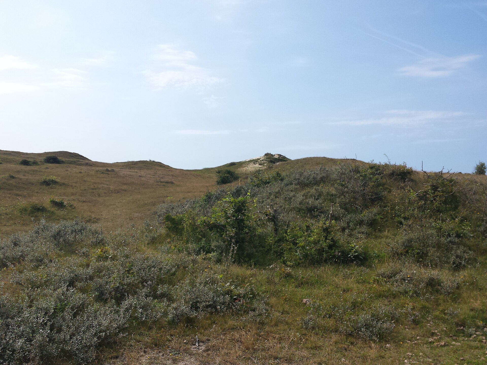 Lokaal beeld van Egmond aan Zee bij website laten maken en webdesign Egmond aan Zee