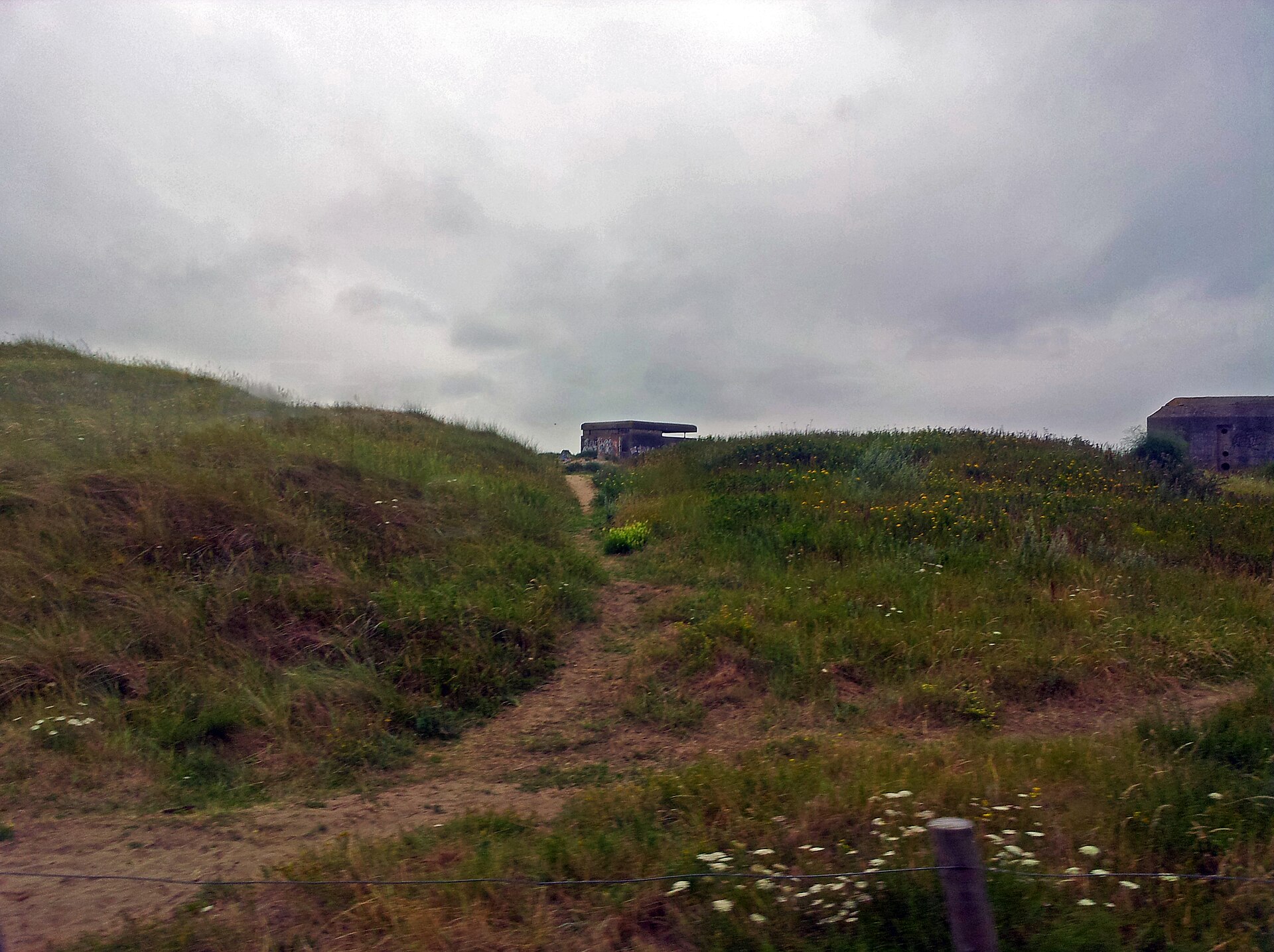 Lokaal beeld van IJmuiden bij website laten maken en webdesign IJmuiden