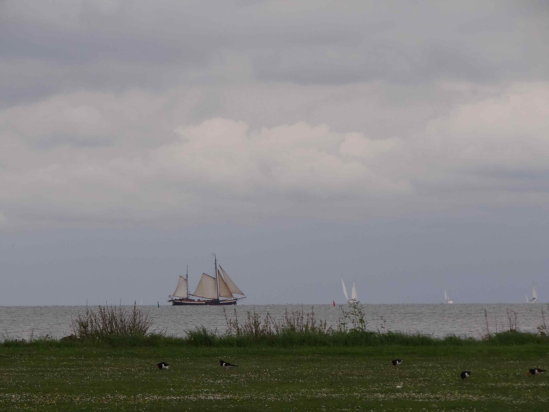 Lokale omgeving van Medemblik als lokaal beeld bij website laten maken Medemblik