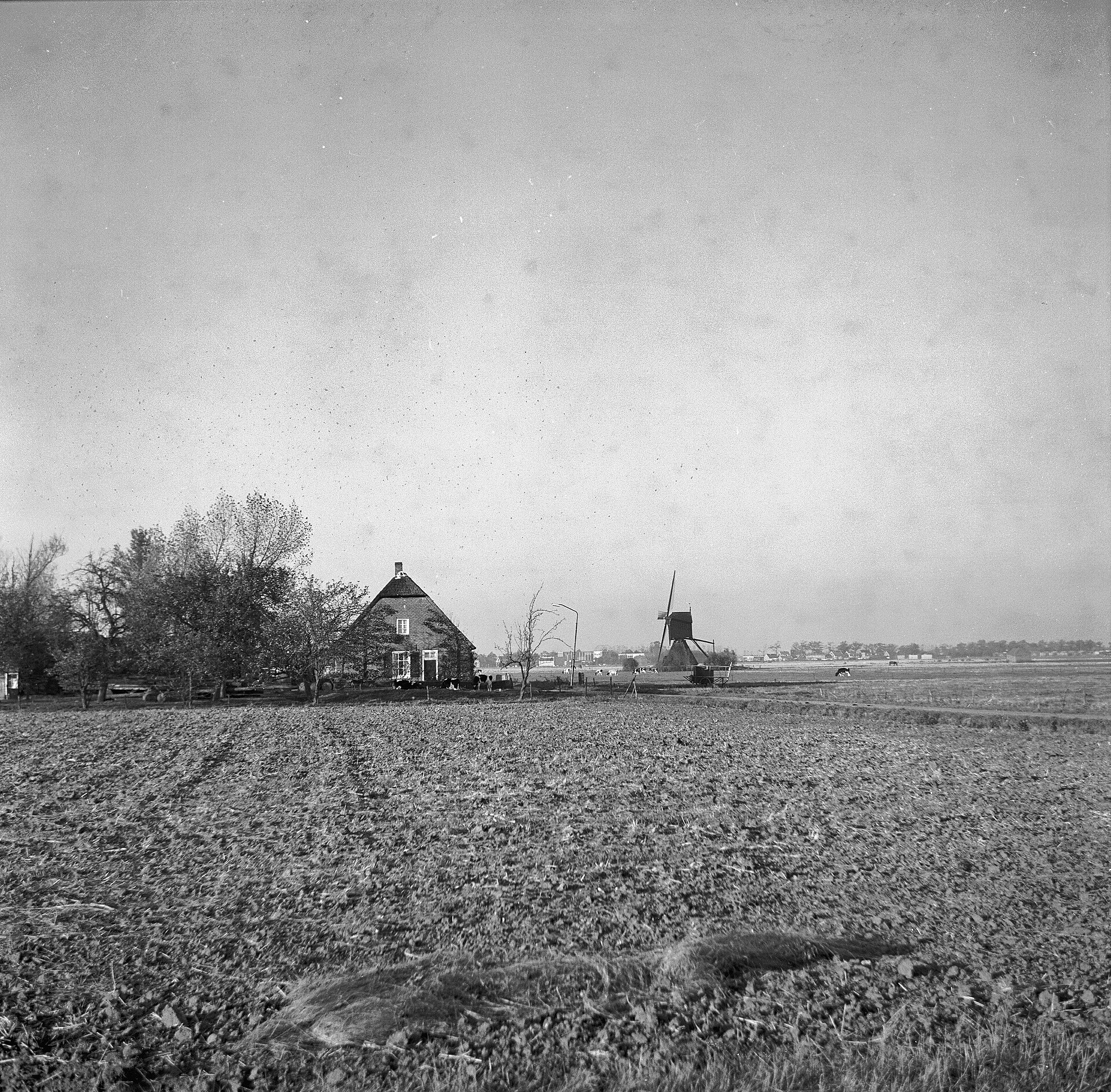 Lokale omgeving van Almkerk als lokaal beeld bij website laten maken Almkerk