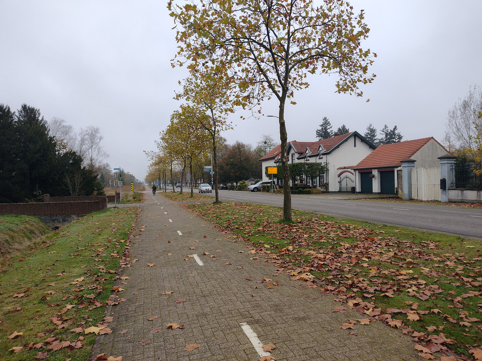 Website laten maken Budel – lokale webdesign master Lokaal beeld van Budel bij website laten maken en webdesign Budel