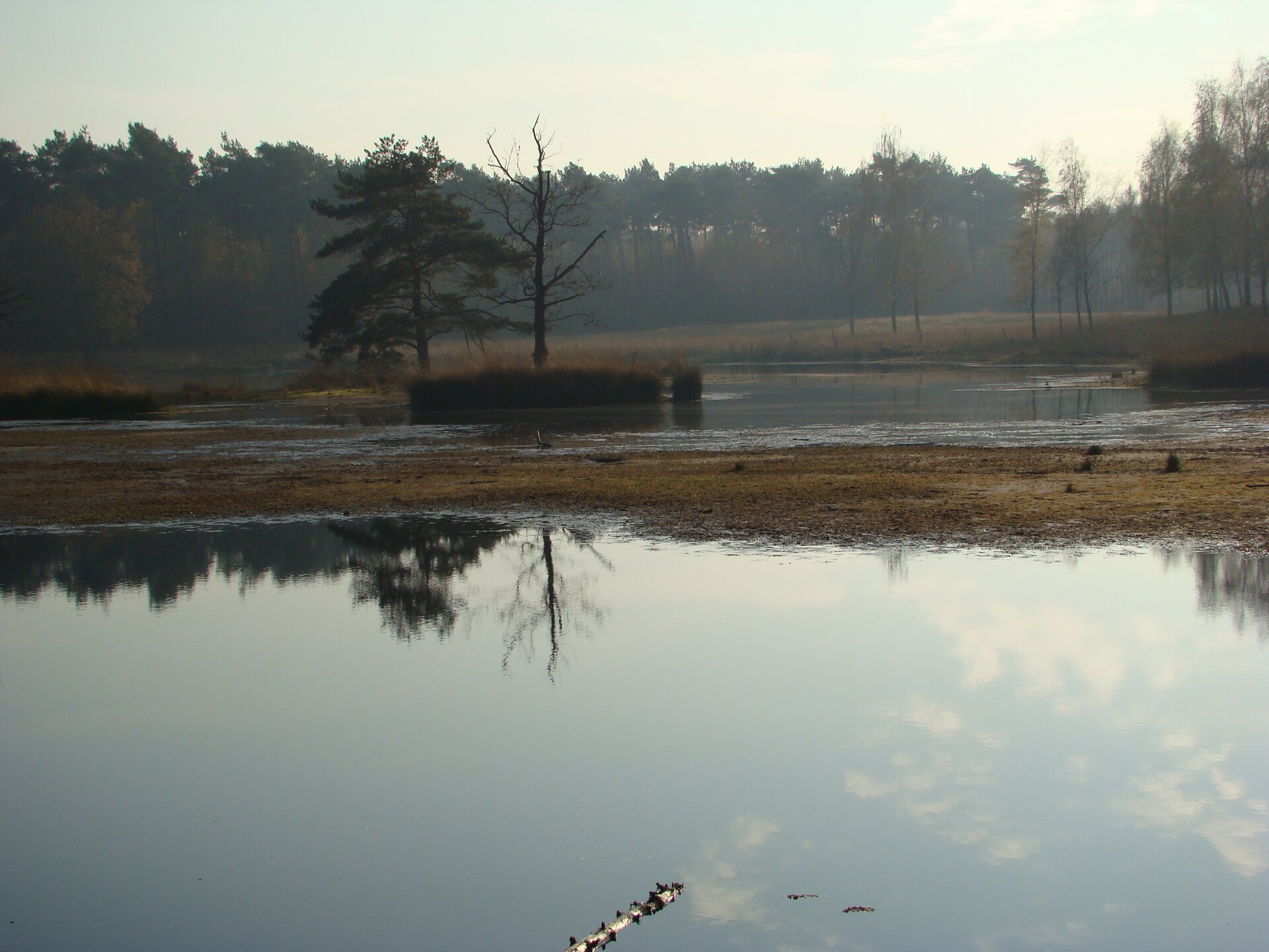 Lokaal beeld van Hoogerheide bij website laten maken en webdesign Hoogerheide