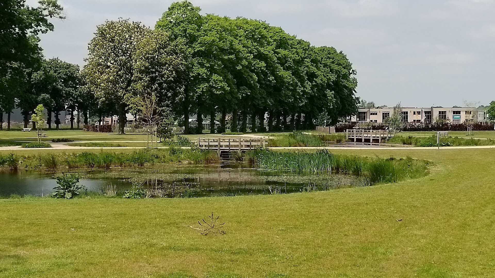 Lokale omgeving van Kaatsheuvel als lokaal beeld bij website laten maken Kaatsheuvel