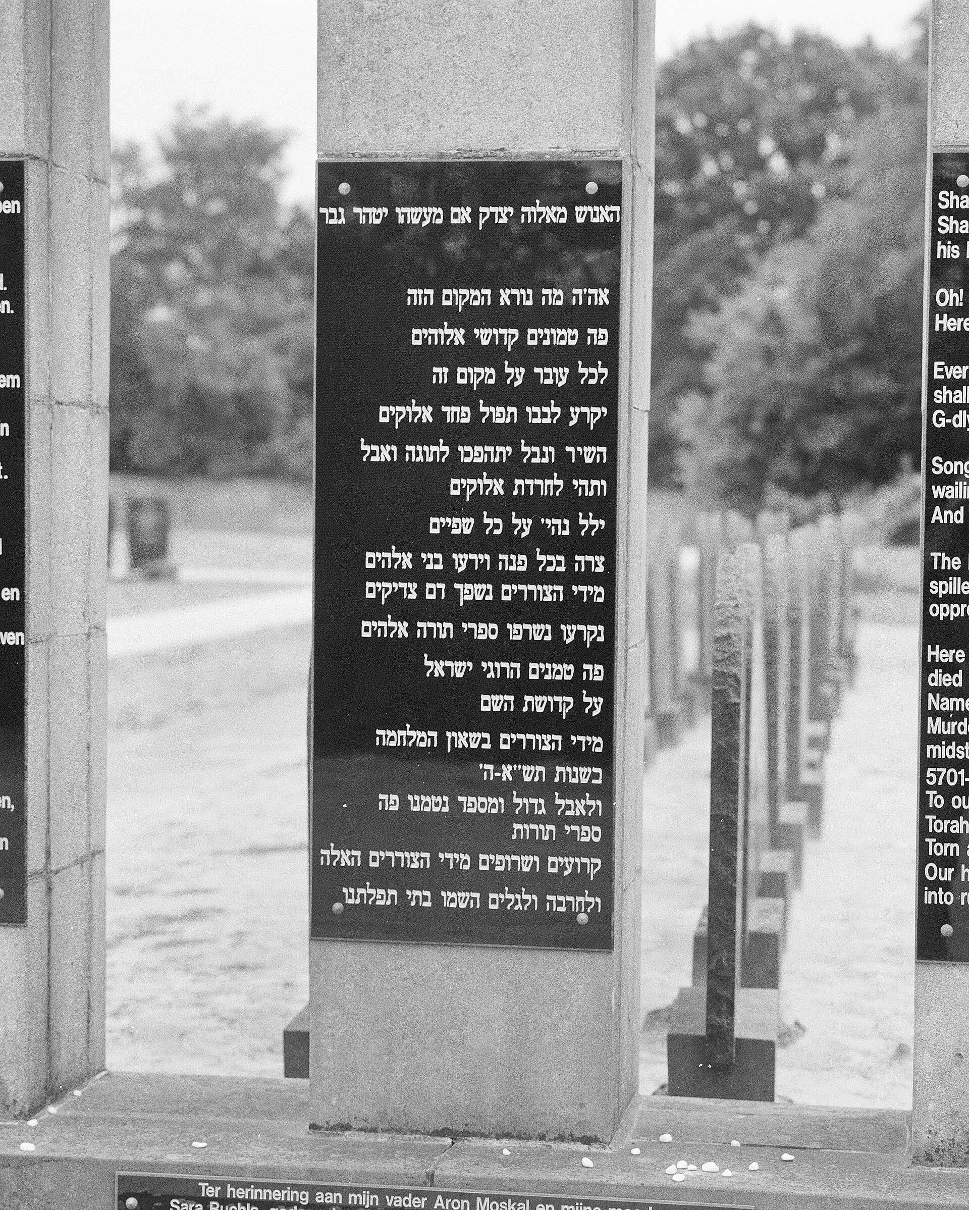 Lokale omgeving van Putte als lokaal beeld bij website laten maken Putte