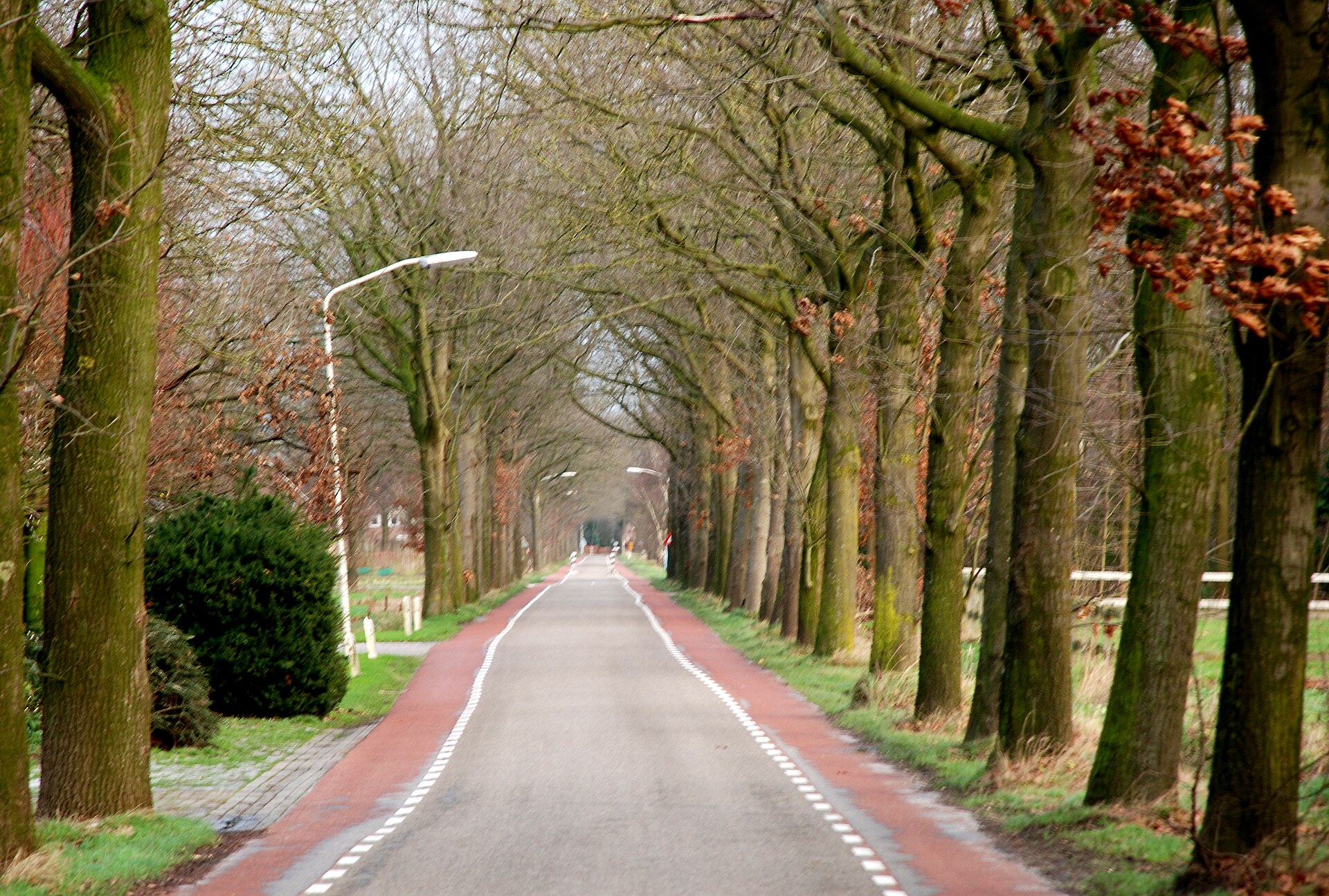Website laten maken Sint-Oedenrode – lokale omgeving Lokale omgeving van Sint-Oedenrode als lokaal beeld bij website laten maken Sint-Oedenrode