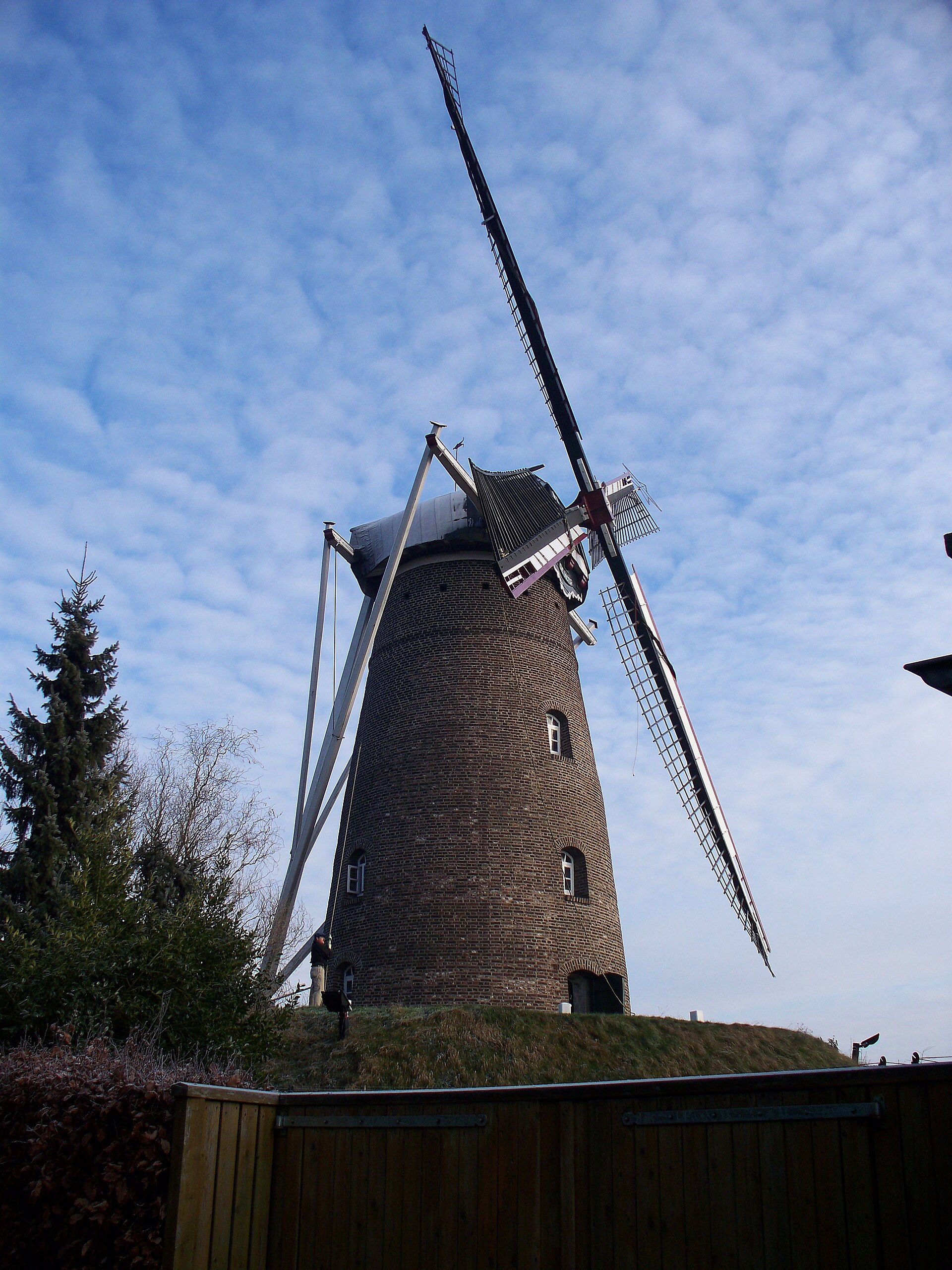 Top 5 webdesigners Someren – ondernemen in de regio Ondernemen in Someren als lokaal beeld bij Top 5 webdesigners Someren