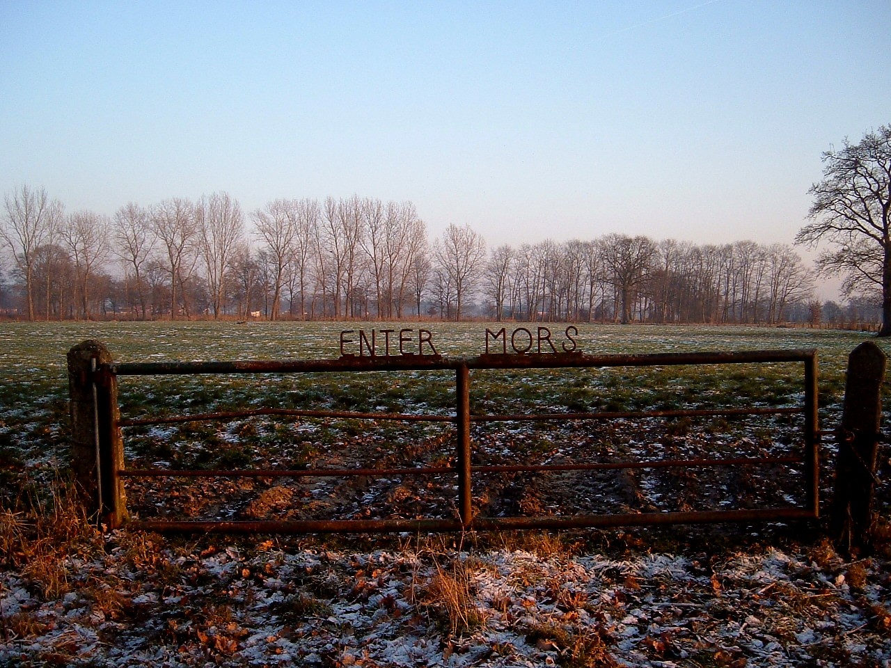 Website laten maken Enter – lokale webdesign master Lokaal beeld van Enter bij website laten maken en webdesign Enter