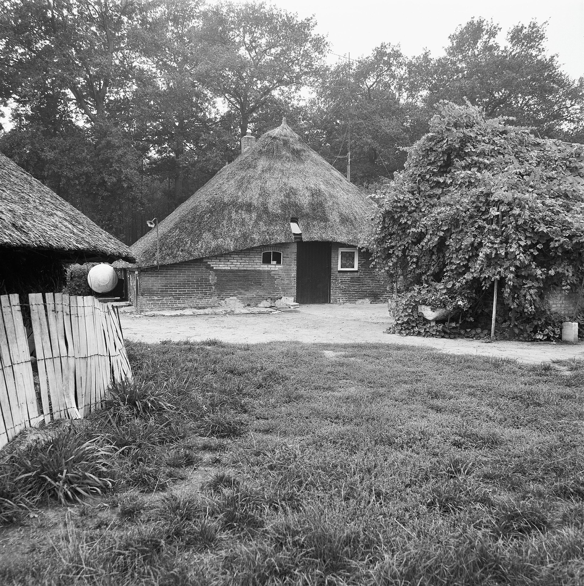 Website laten maken Heino – lokale omgeving Lokale omgeving van Heino als lokaal beeld bij website laten maken Heino
