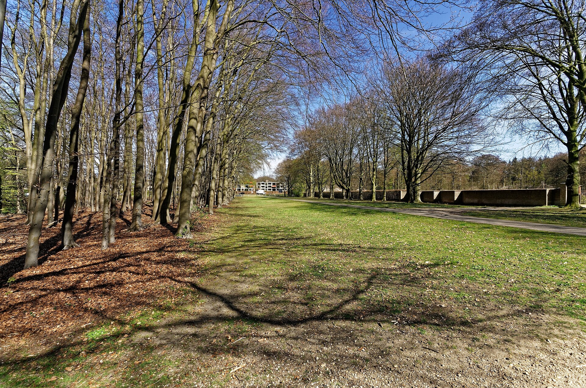 Website laten maken Baarn – lokale webdesign master Lokaal beeld van Baarn bij website laten maken en webdesign Baarn