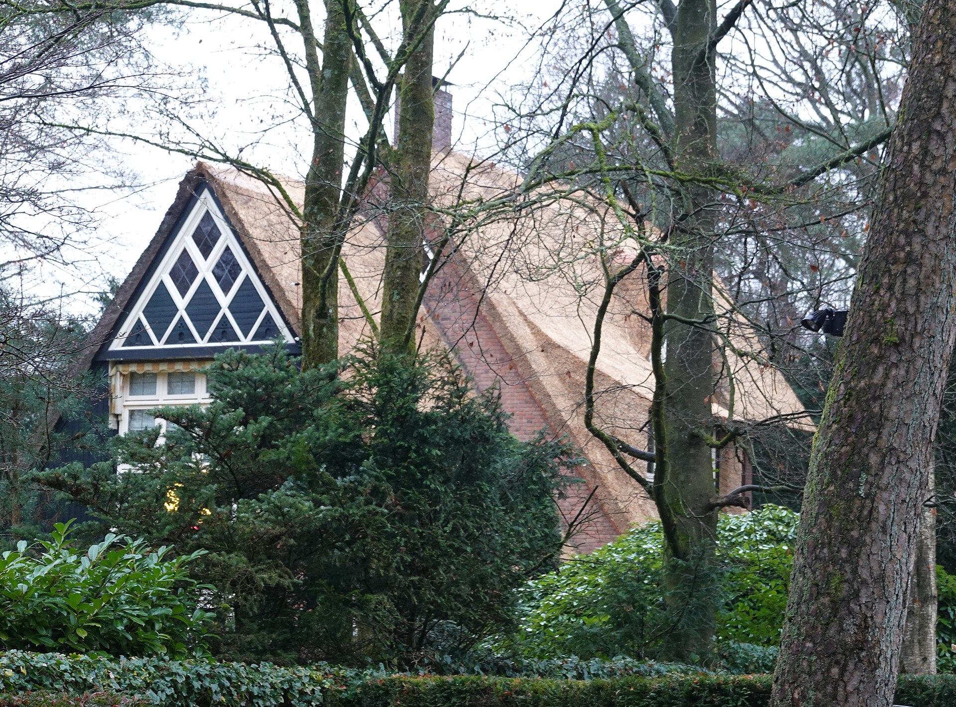 Lokale omgeving van Bilthoven als lokaal beeld bij website laten maken Bilthoven