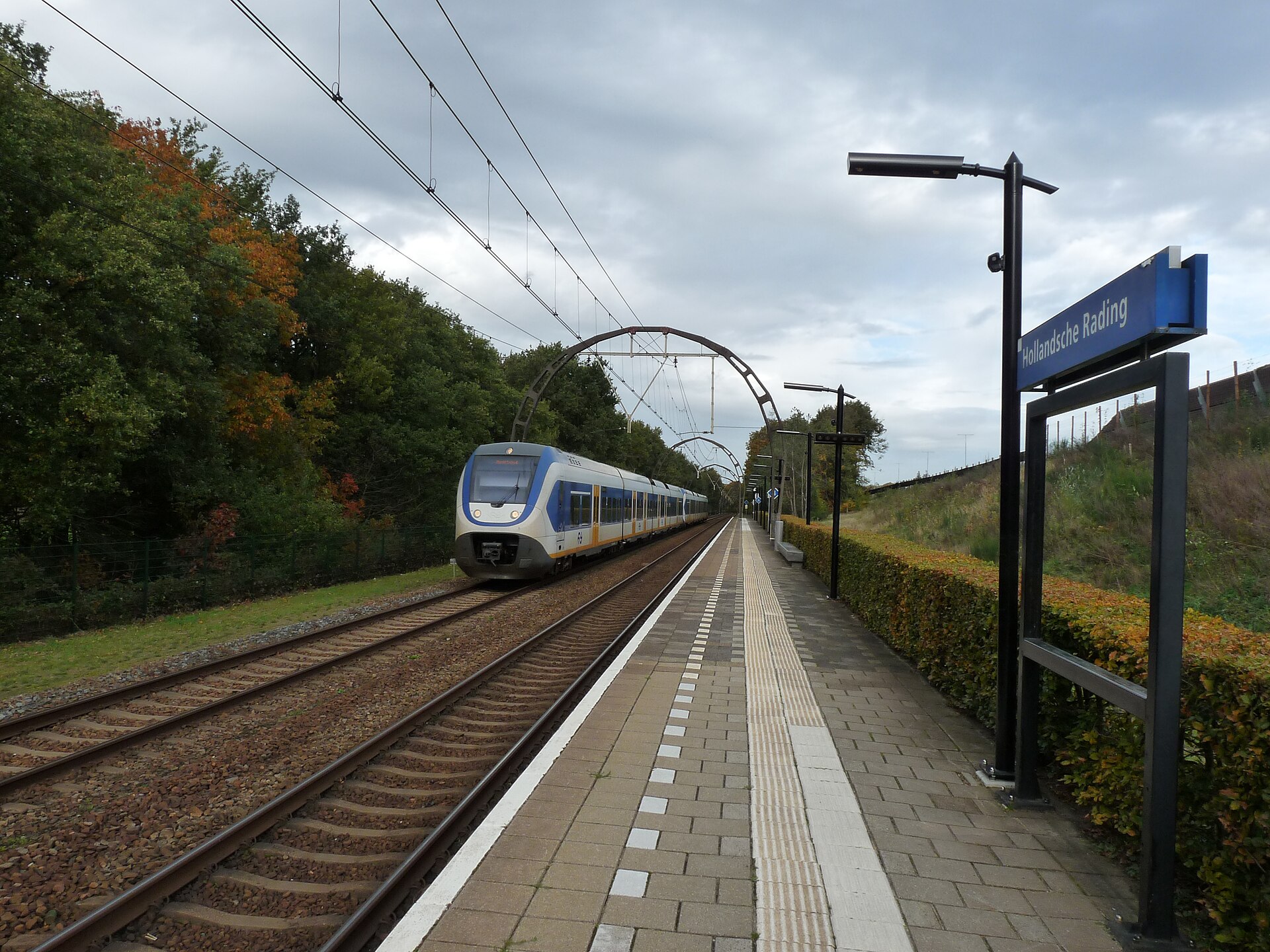 Website laten maken Hollandsche Rading – lokale omgeving Lokale omgeving van Hollandsche Rading als lokaal beeld bij website laten maken Hollandsche Rading