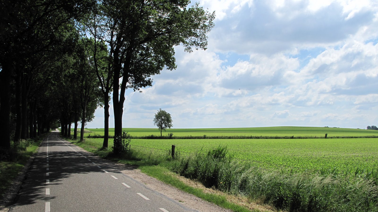 Lokaal beeld van Renswoude bij website laten maken en webdesign Renswoude