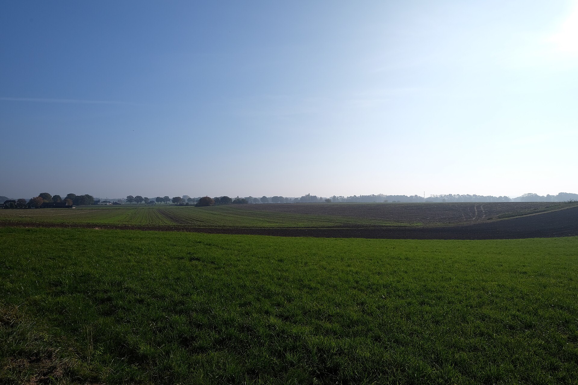 Ondernemen in Renswoude als lokaal beeld bij Top 5 webdesigners Renswoude