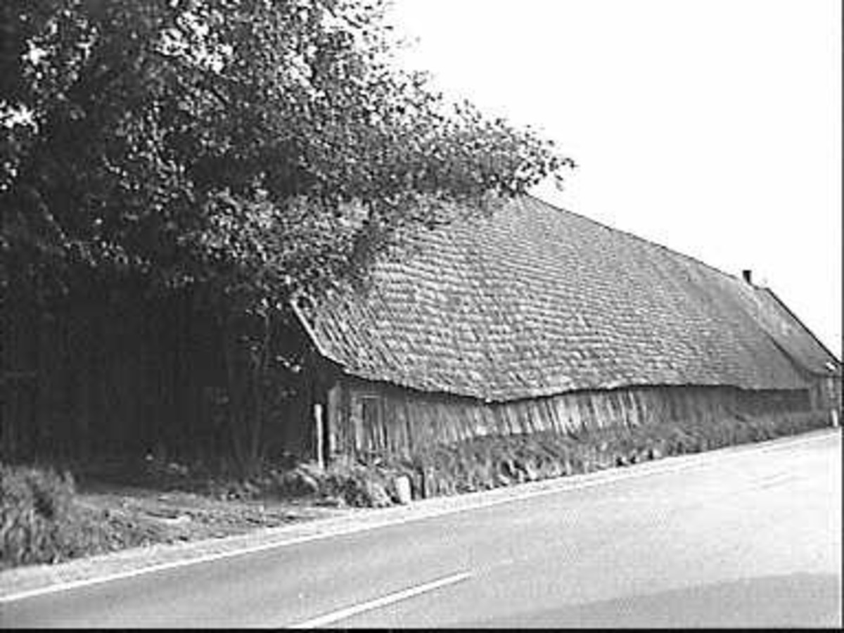 Website laten maken Rhenen – lokale omgeving Lokale omgeving van Rhenen als lokaal beeld bij website laten maken Rhenen