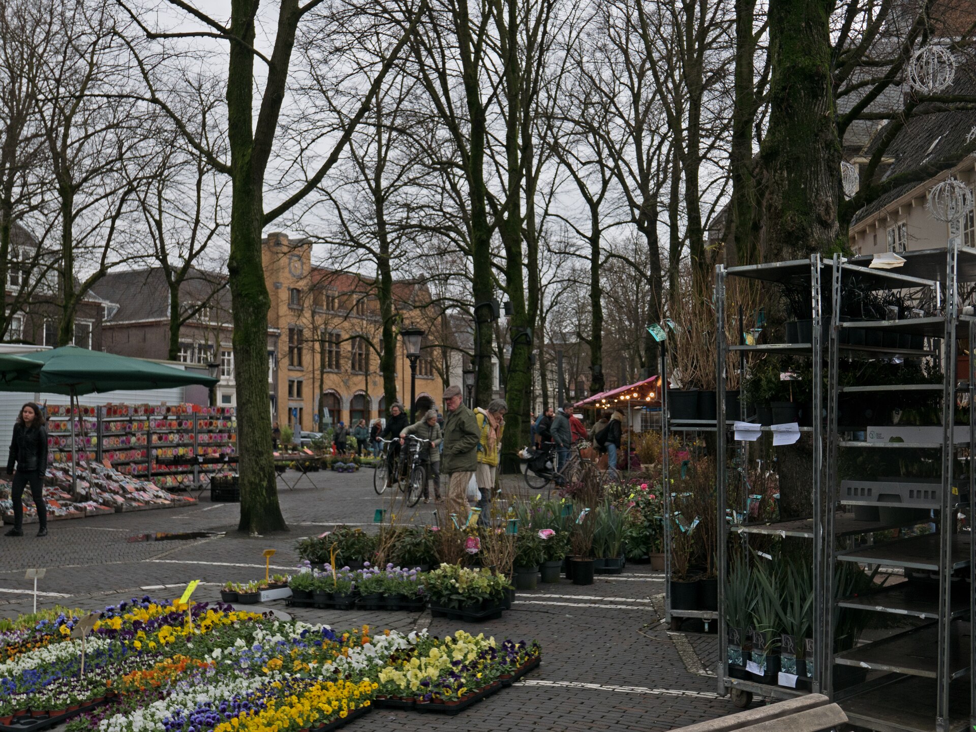 Lokale omgeving van Utrecht als lokaal beeld bij website laten maken Utrecht