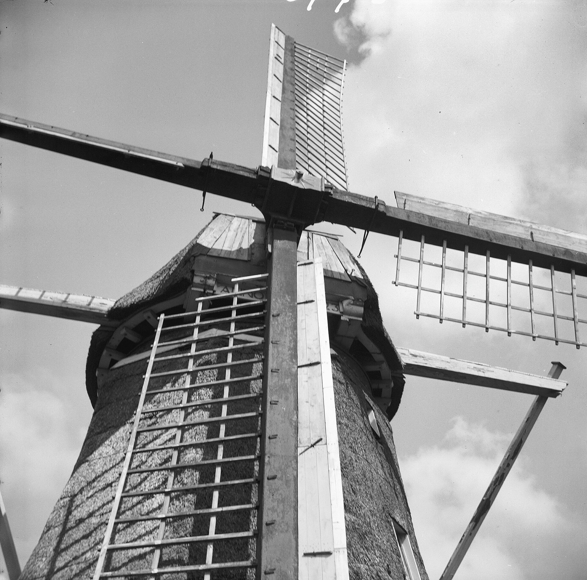 Top 5 webdesigners Wilnis – ondernemen in de regio Ondernemen in Wilnis als lokaal beeld bij Top 5 webdesigners Wilnis