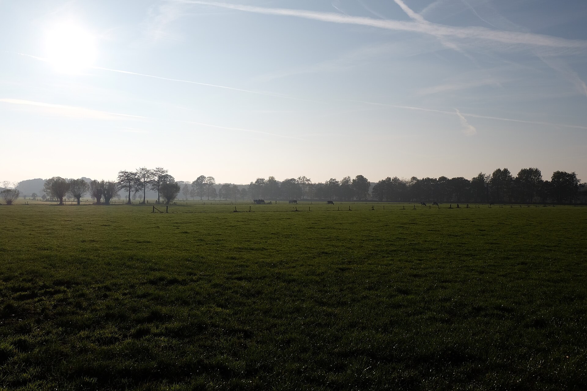 Website laten maken Woudenberg – lokale omgeving Lokale omgeving van Woudenberg als lokaal beeld bij website laten maken Woudenberg