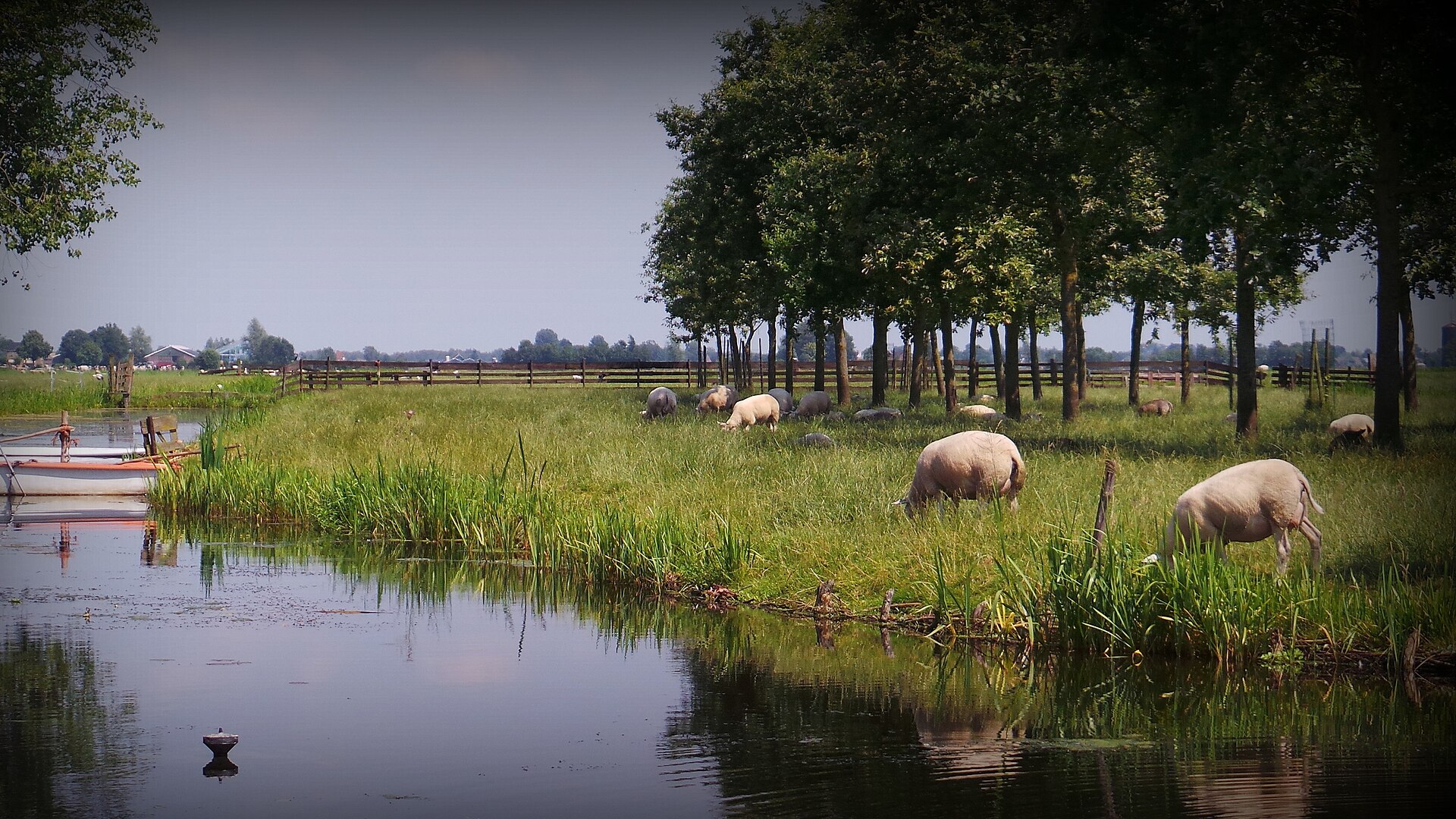 Lokaal beeld van Zegveld bij website laten maken en webdesign Zegveld