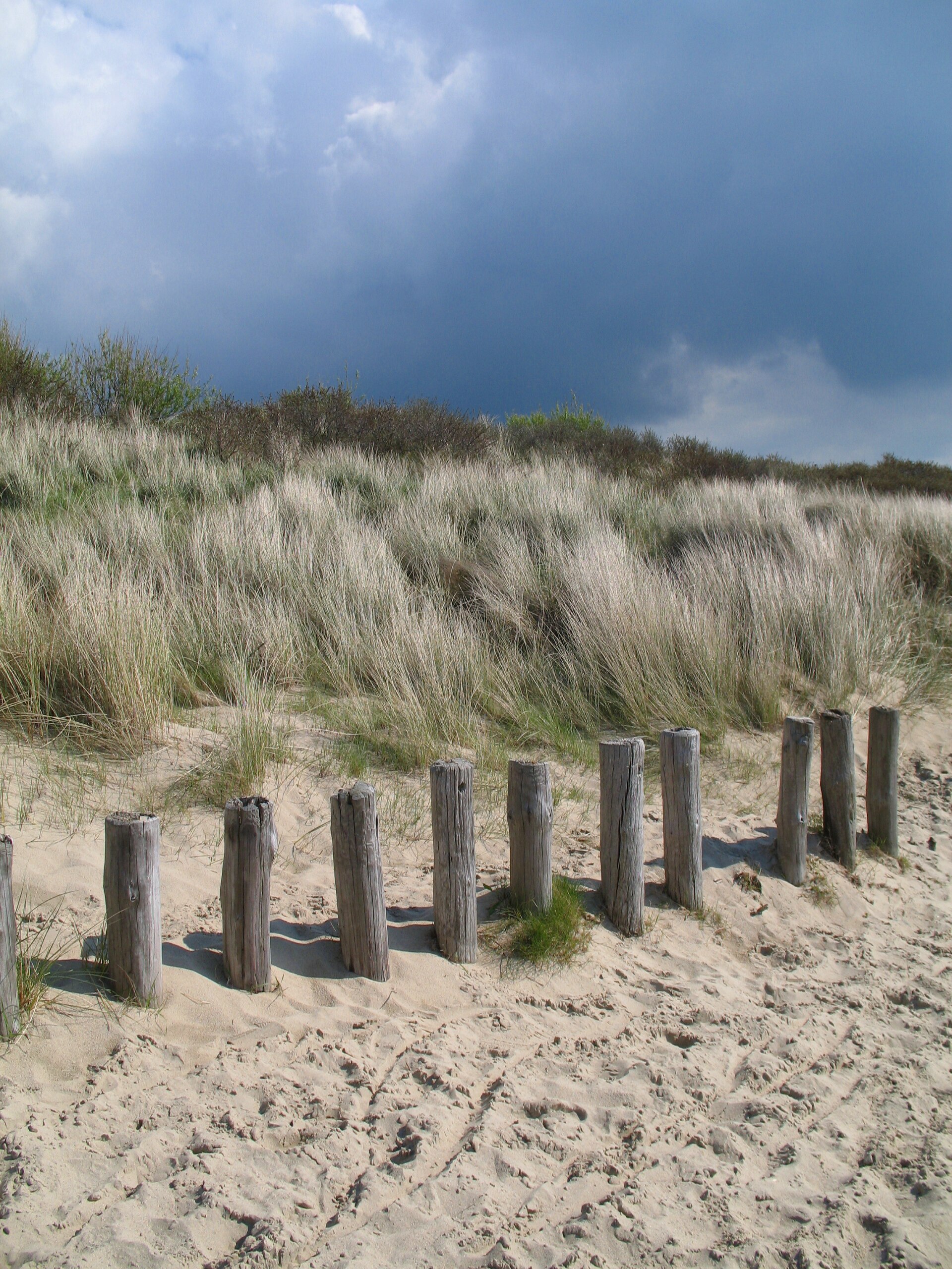 Top 5 webdesigners Cadzand – ondernemen in de regio Ondernemen in Cadzand als lokaal beeld bij Top 5 webdesigners Cadzand
