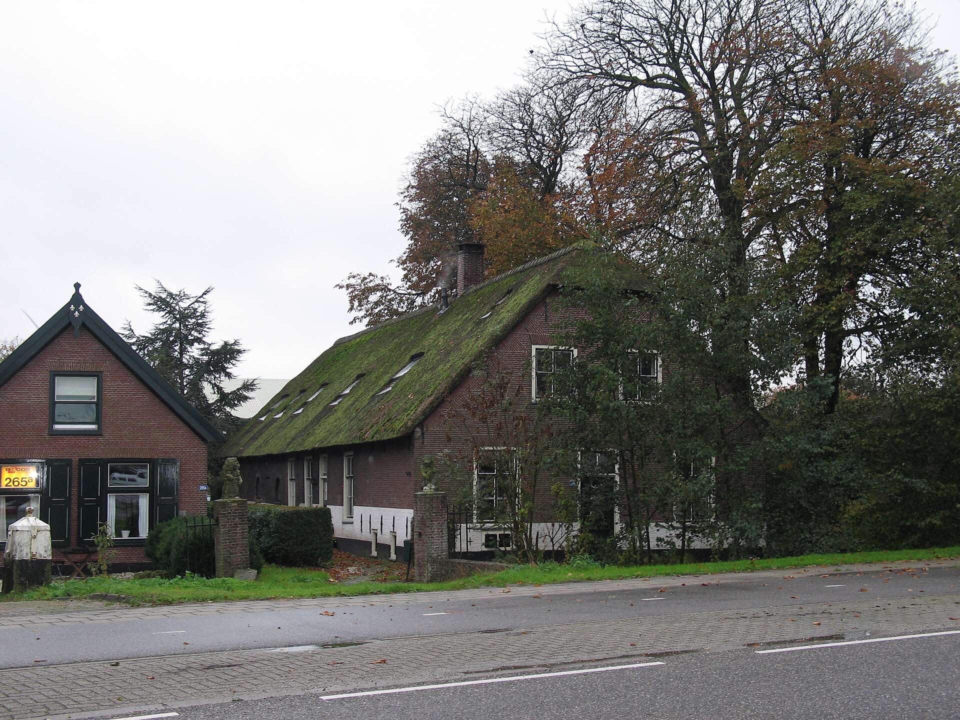 Ondernemen in Hazerswoude-Rijndijk als lokaal beeld bij Top 5 webdesigners Hazerswoude-Rijndijk
