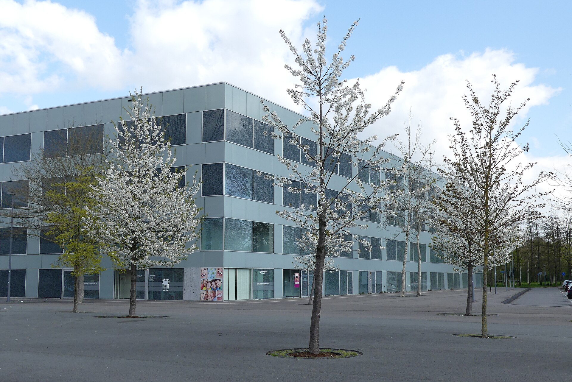 Lokale omgeving van Hoogvliet als lokaal beeld bij website laten maken Hoogvliet