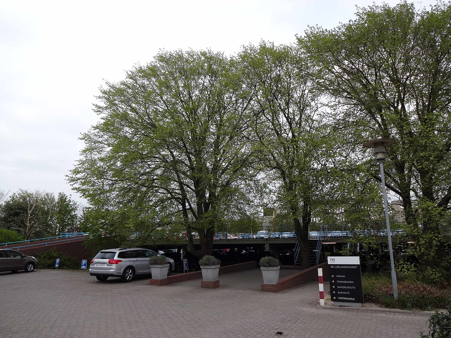 Lokaal beeld van Noordwijkerhout bij website laten maken en webdesign Noordwijkerhout