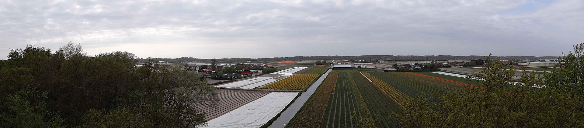 Lokale omgeving van Noordwijkerhout als lokaal beeld bij website laten maken Noordwijkerhout