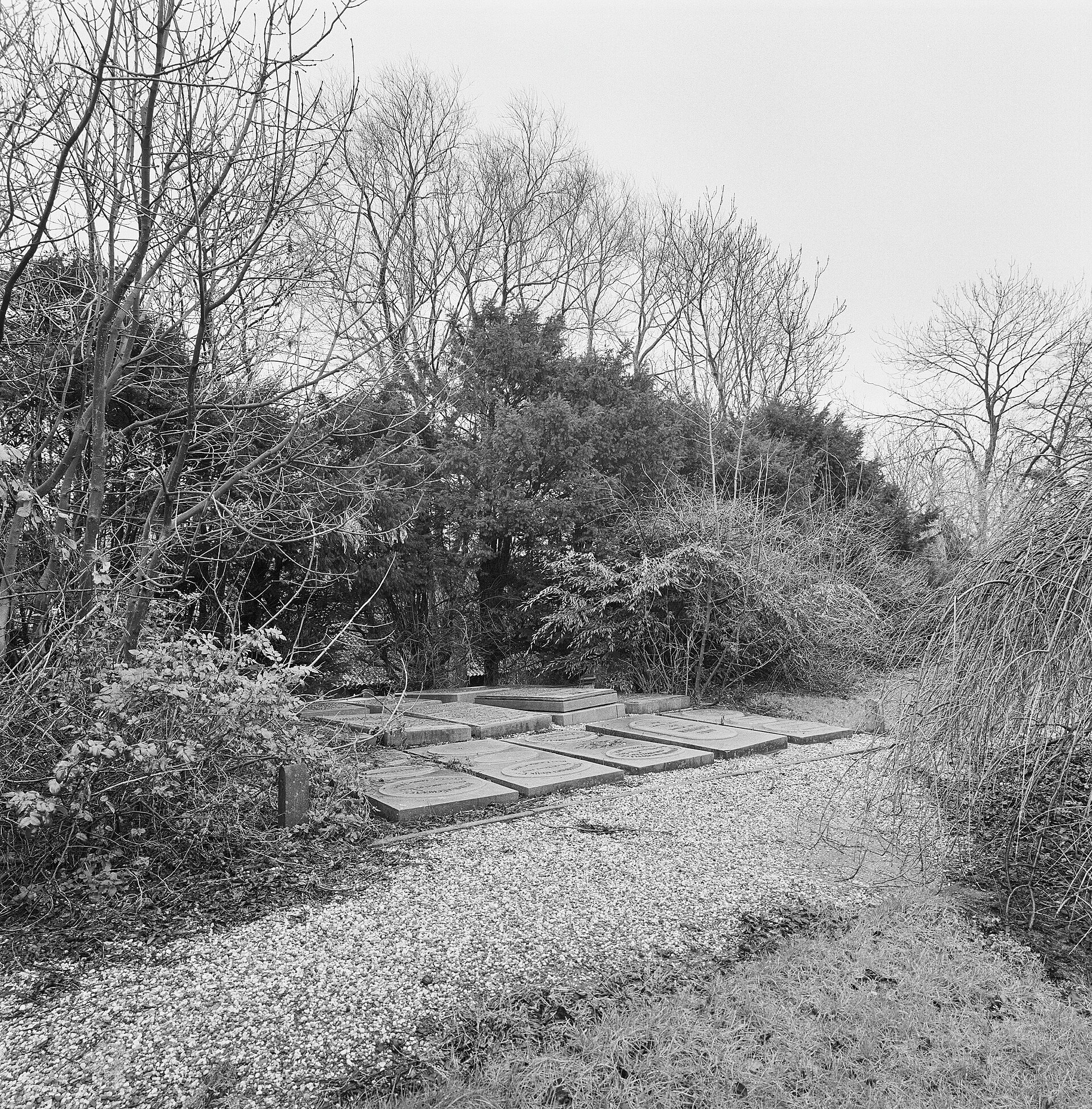 Lokale omgeving van Ouderkerk aan den IJssel als lokaal beeld bij website laten maken Ouderkerk aan den IJssel