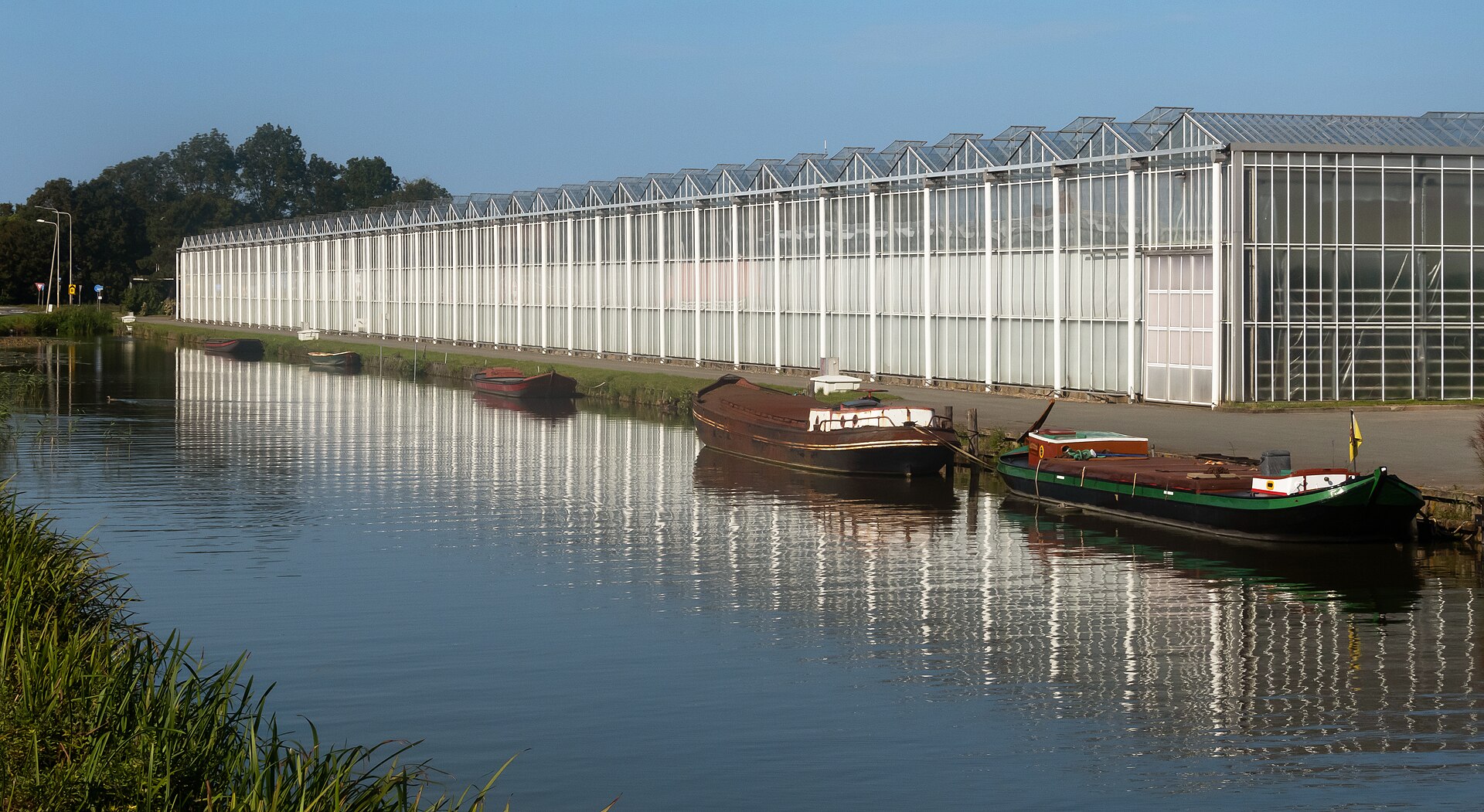 Lokale omgeving van Poeldijk als lokaal beeld bij website laten maken Poeldijk