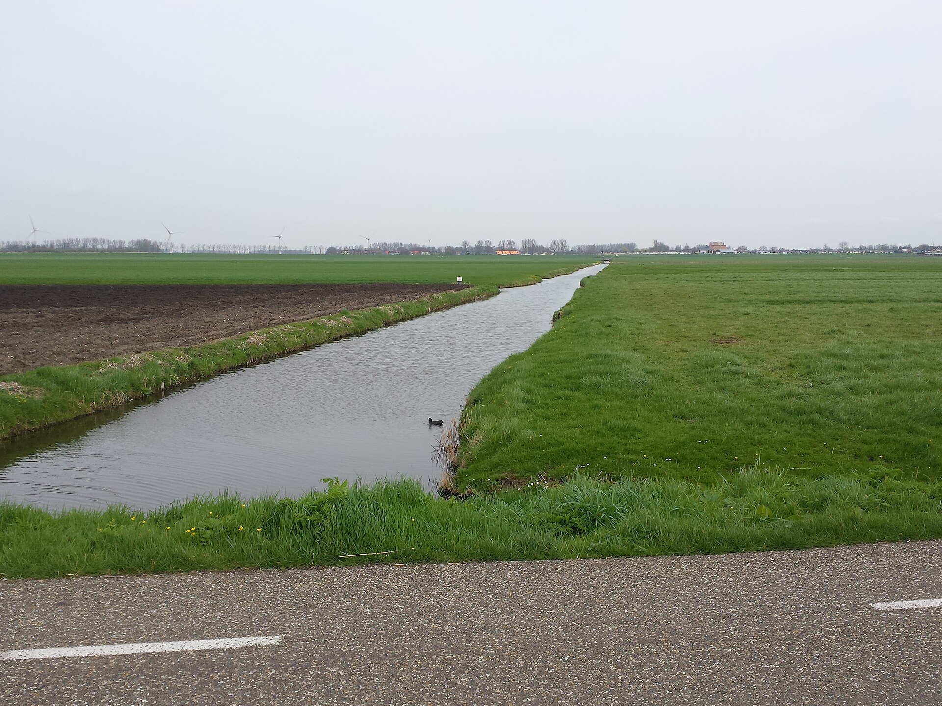 Website laten maken Rijnsaterwoude – lokale webdesign master Lokaal beeld van Rijnsaterwoude bij website laten maken en webdesign Rijnsaterwoude