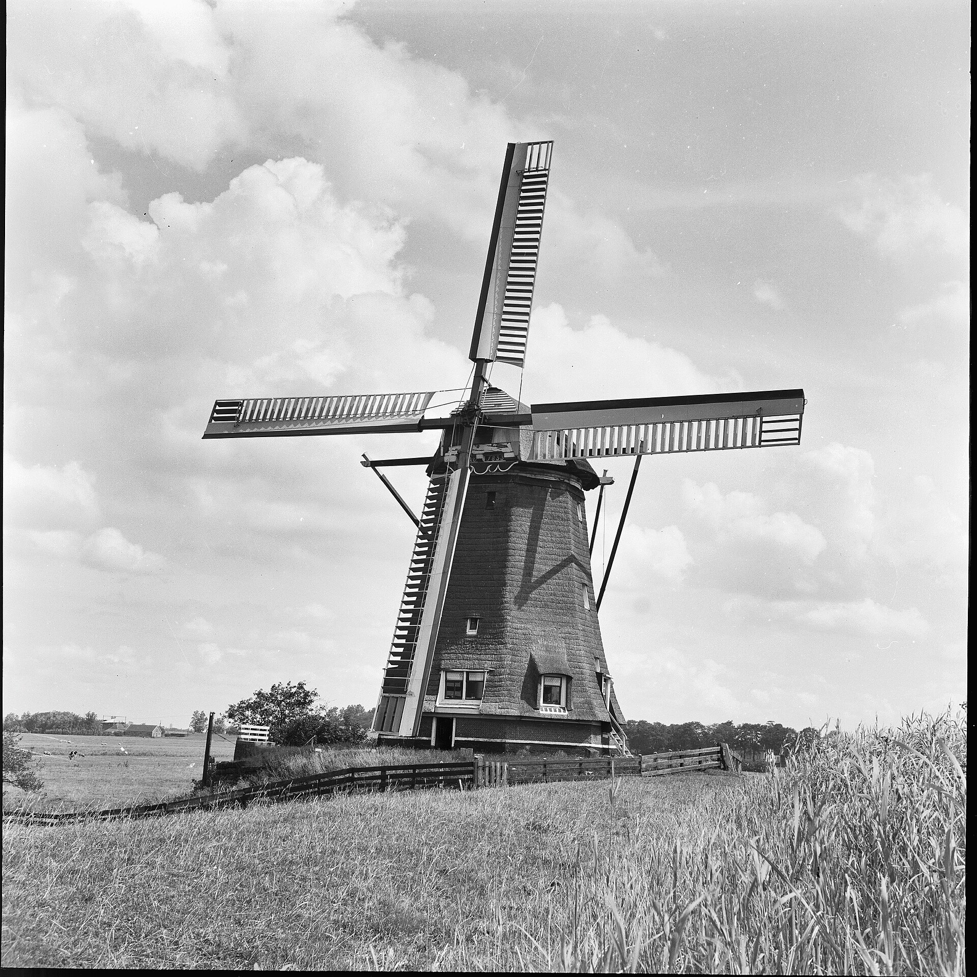 Website laten maken Rijnsaterwoude – lokale omgeving Lokale omgeving van Rijnsaterwoude als lokaal beeld bij website laten maken Rijnsaterwoude
